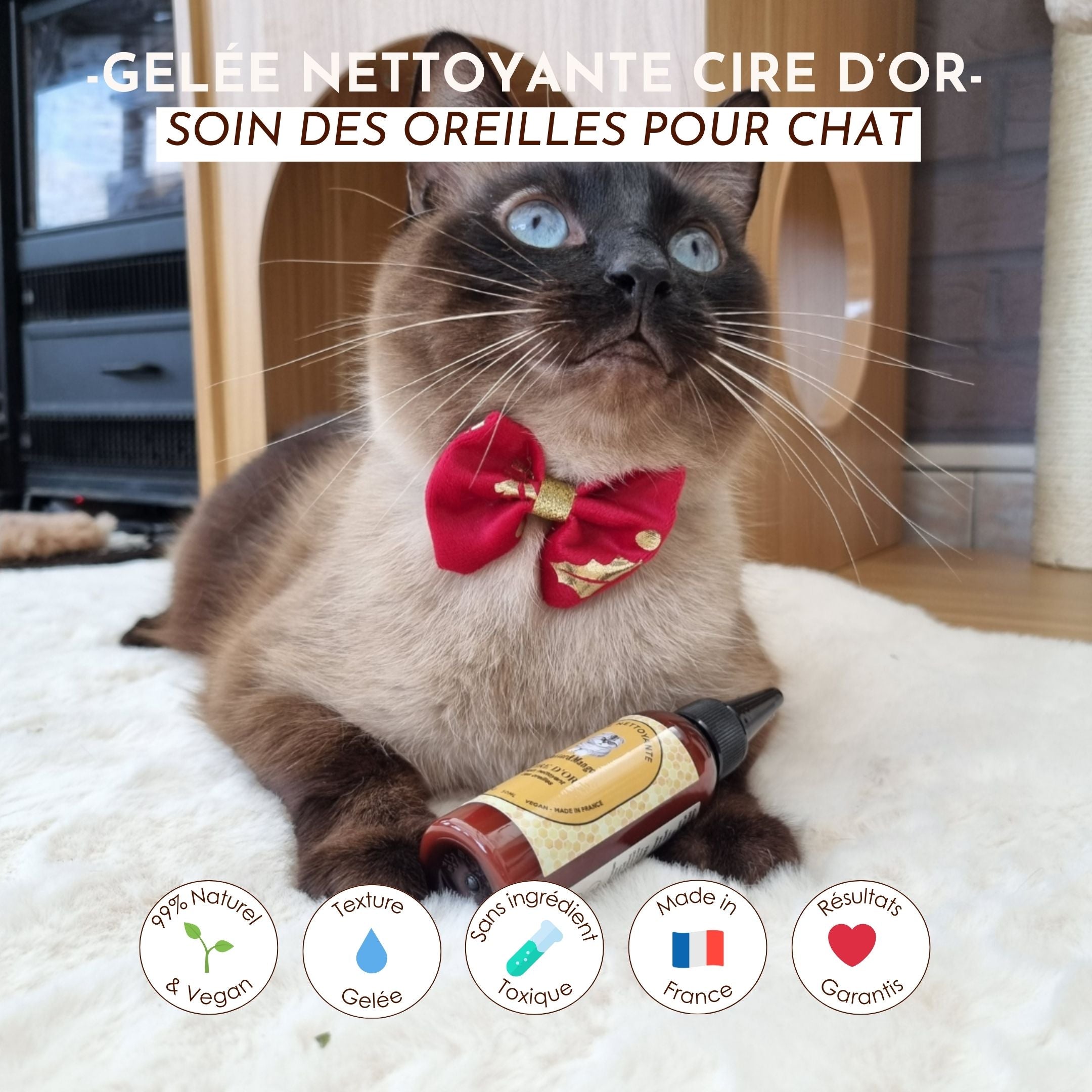 Chat au nœud papillon rouge posant avec la Gelée Nettoyante Cire d’Or, soin des oreilles 99% naturel.