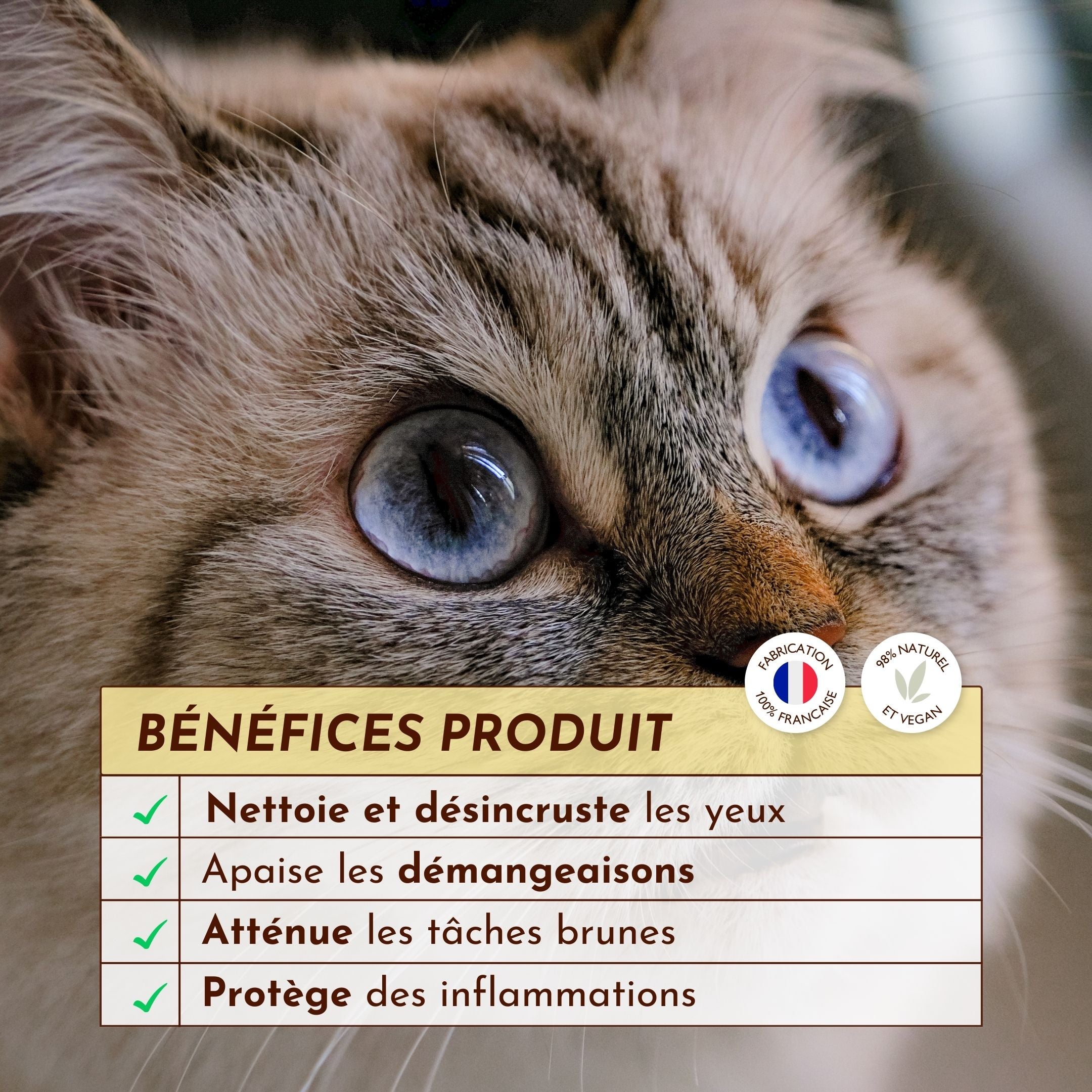 Chat aux yeux bleus à côté de la gelée nettoyante “Œil de Lynx” de Dexter & Mango, pour un contour des yeux propre et sain.