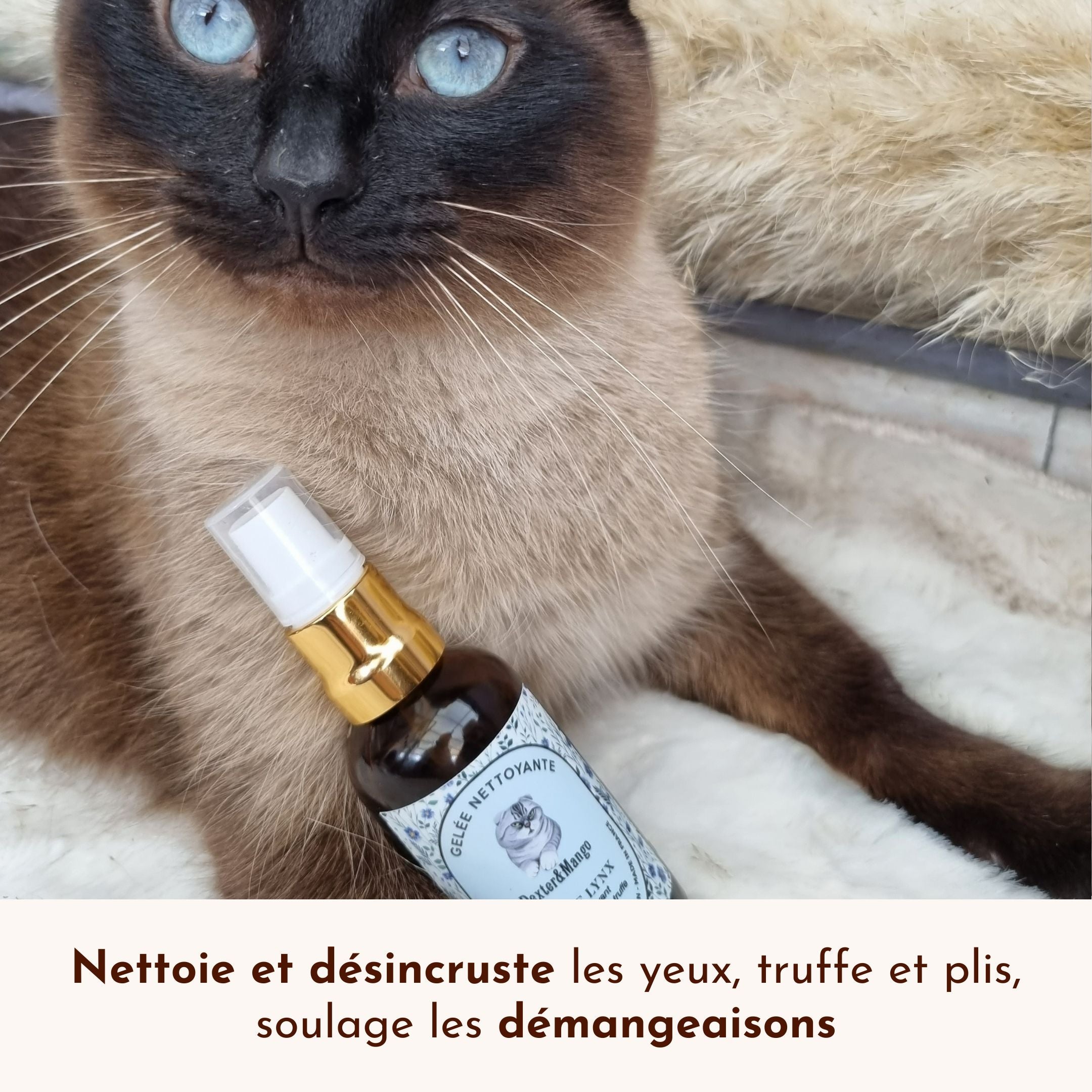 Chat aux yeux bleus à côté de la gelée nettoyante “Œil de Lynx” de Dexter & Mango, pour un contour des yeux propre et sain.
