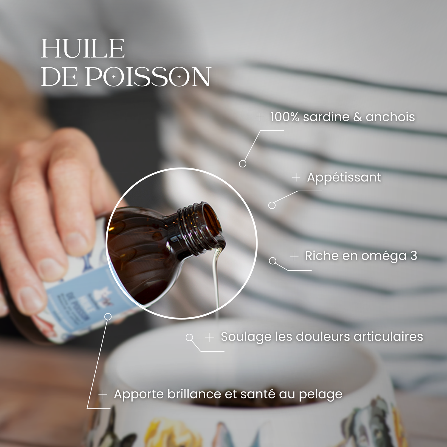 Versement d’huile de poisson Dexter & Mango dans une gamelle, pour un pelage sain et des articulations souples
