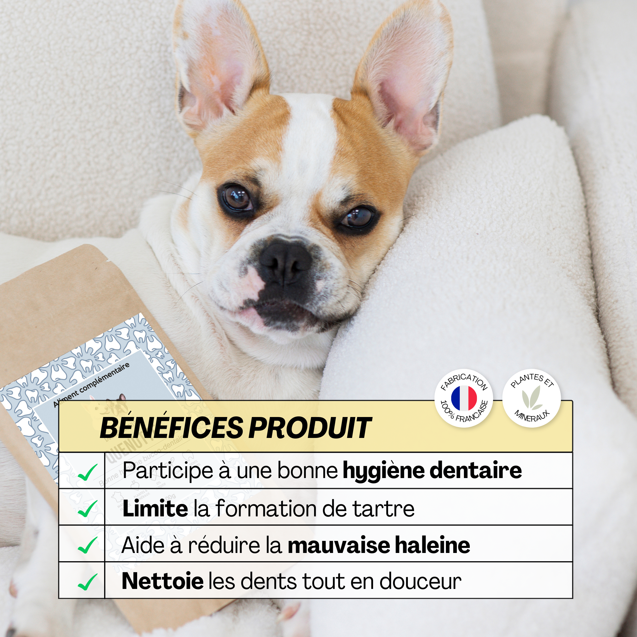 Bienfaits de l’aliment complémentaire Quenotte : limite la formation de tartre, réduit la mauvaise haleine et nettoie les dents en douceur.