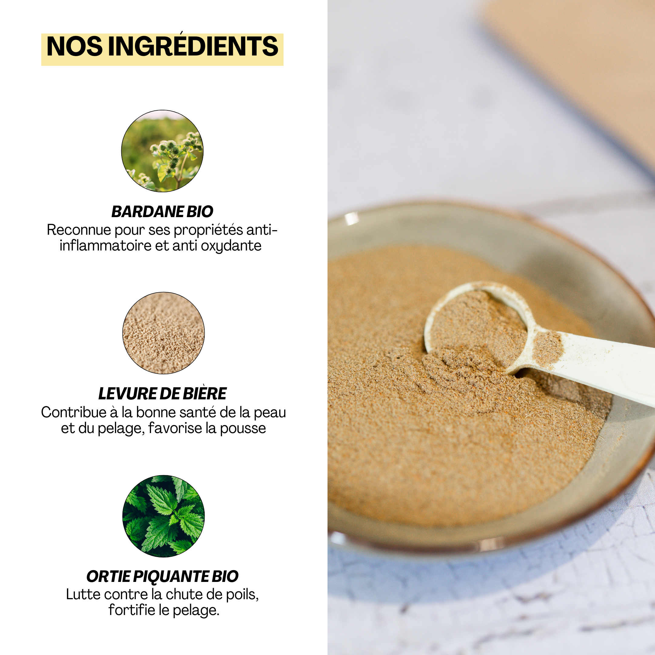 Ingrédients de l’aliment complémentaire Touffu pour chien et chat, incluant bardane bio, levure de bière et ortie piquante.
