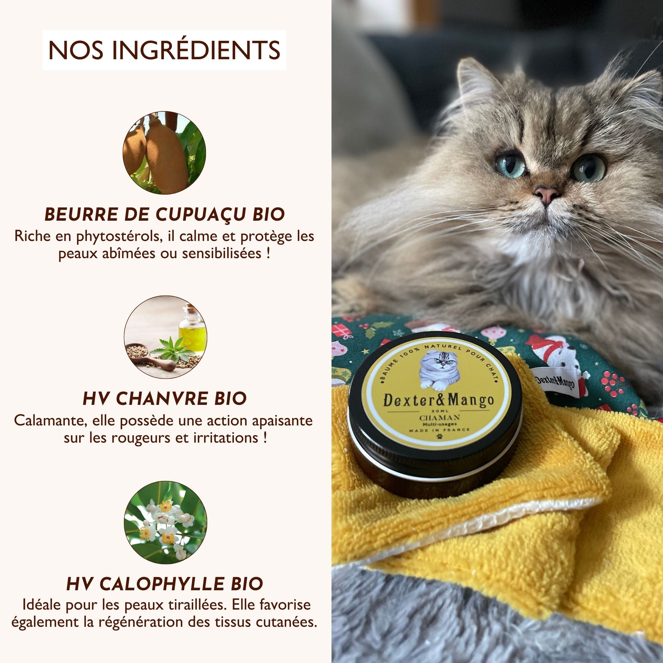 Ingrédients naturels du baume Chaman pour chat : beurre de cupuaçu, huile de chanvre bio, huile de calophylle bio