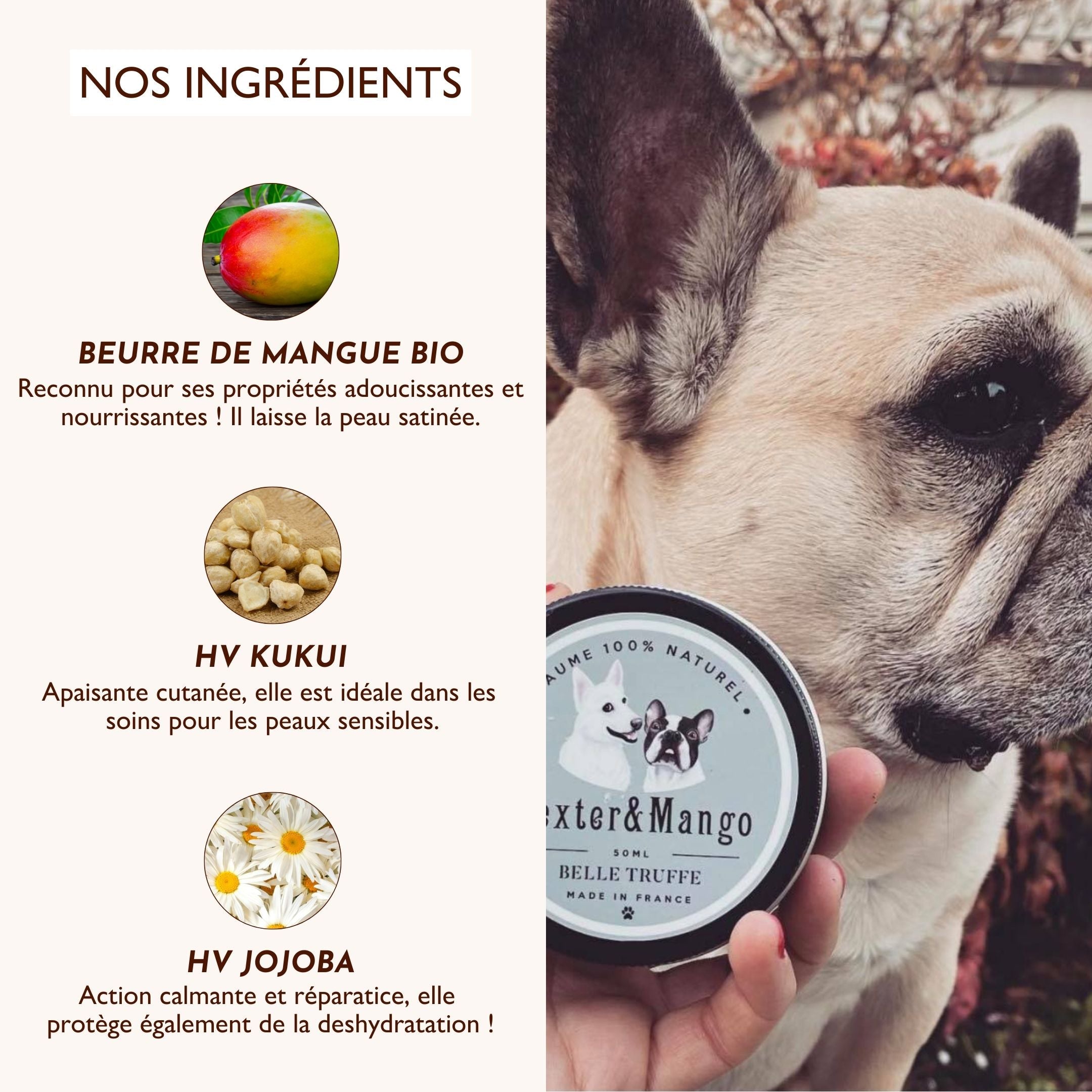 Ingrédients du baume Belle Truffe Dexter & Mango avec un chien : beurre de mangue bio, huile de kukui, huile de jojob