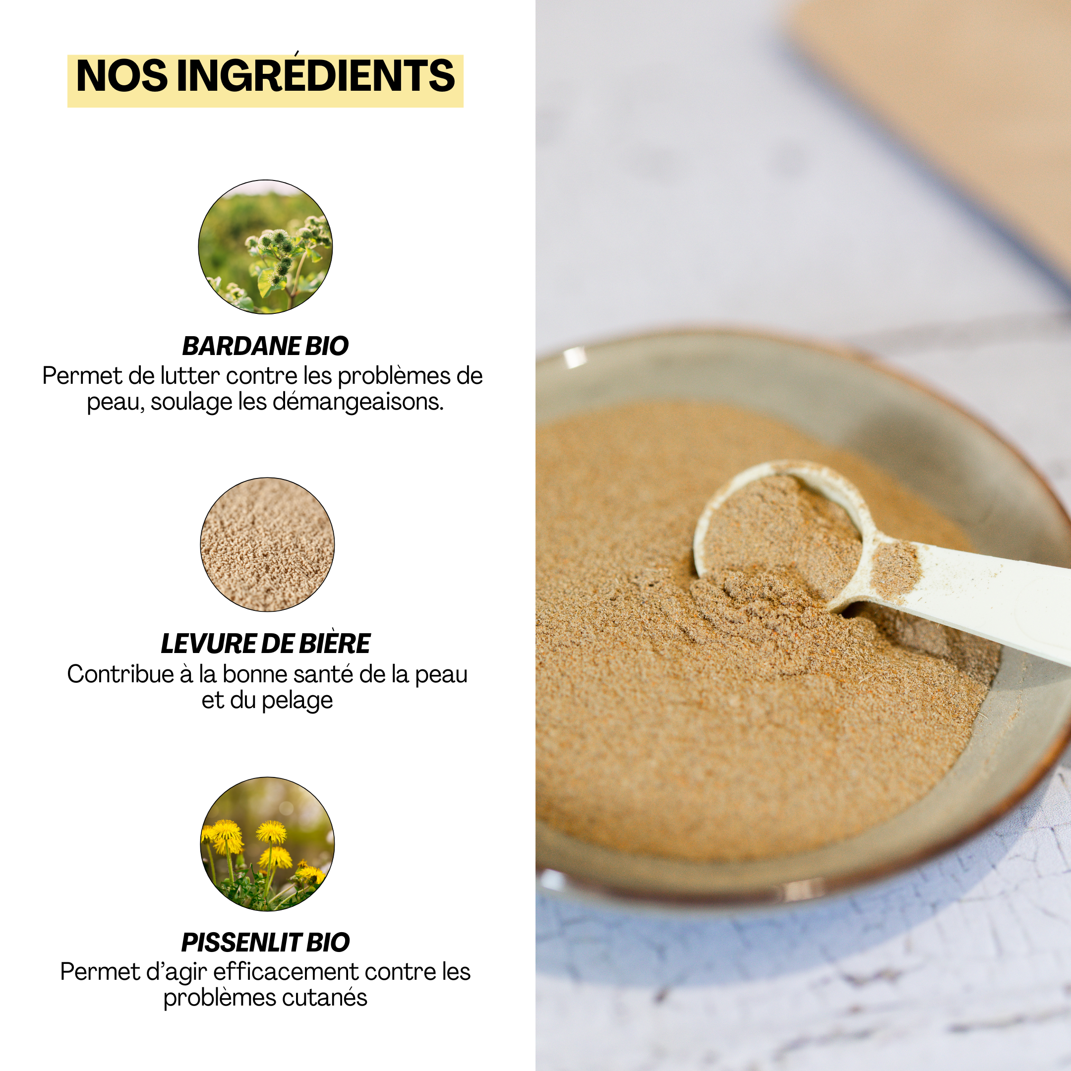 Les ingrédients naturels du complément alimentaire Gratt’ouille : bardane bio pour soulager les démangeaisons, levure de bière pour la santé du pelage et pissenlit bio pour les problèmes cutanés.