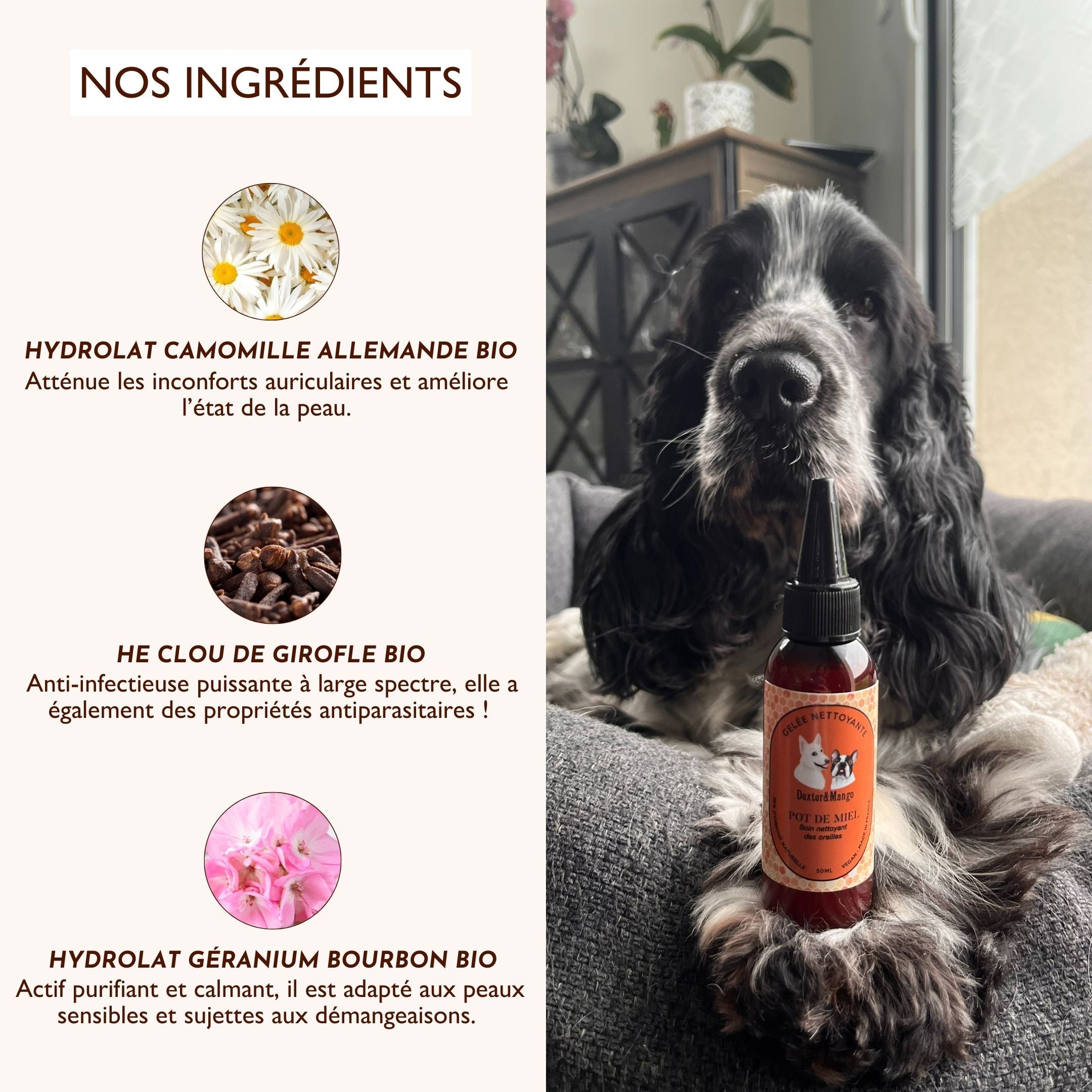 Ingrédients naturels de la gelée Pot de Miel – Camomille, clou de girofle, géranium