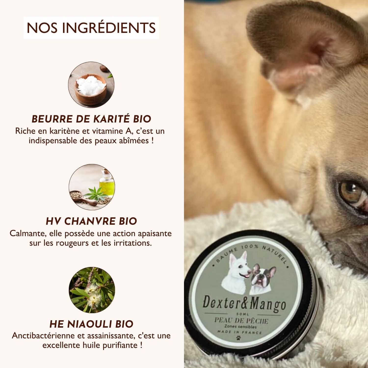 Beurre de karité, huile de chanvre et niaouli bio dans le baume Peau de Pêche pour chien