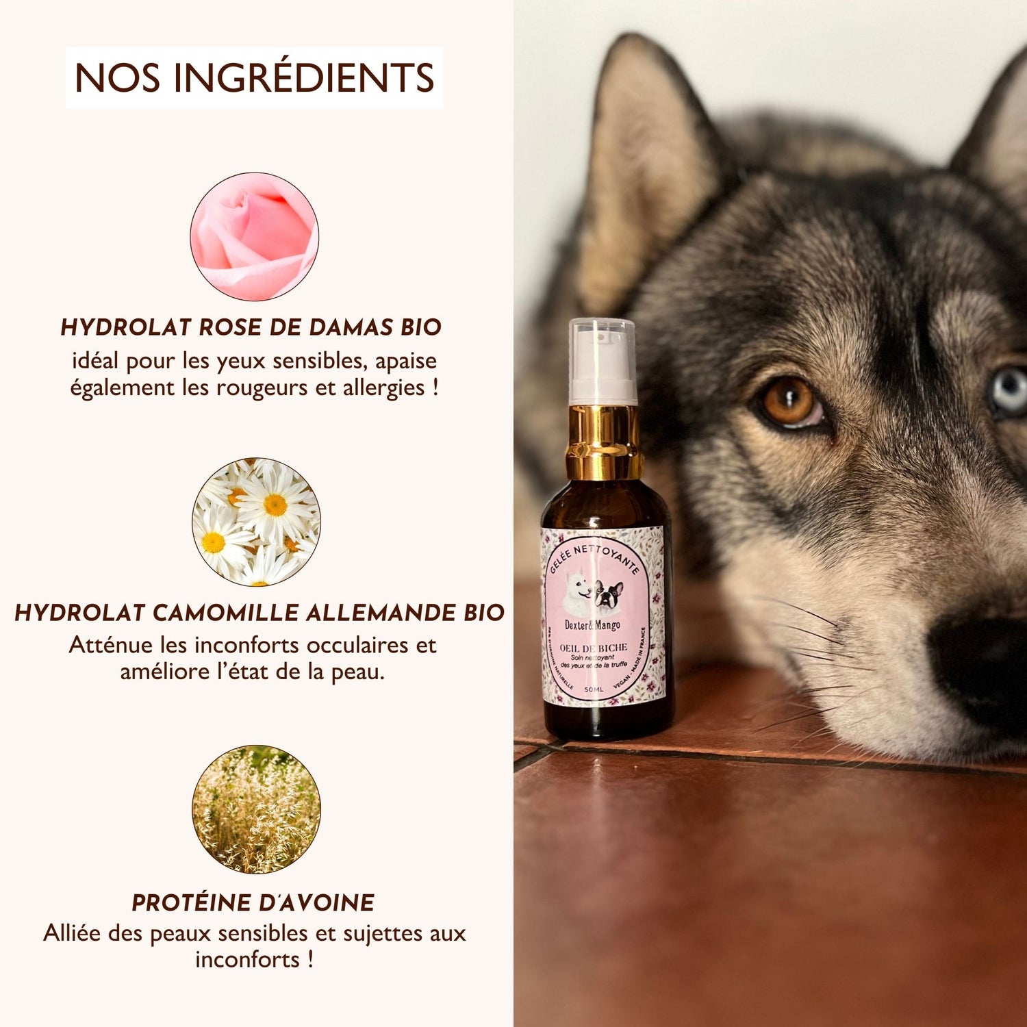 Husky avec la gelée Oeil de Biche et ses ingrédients naturels comme l’hydrolat de rose et la camomille