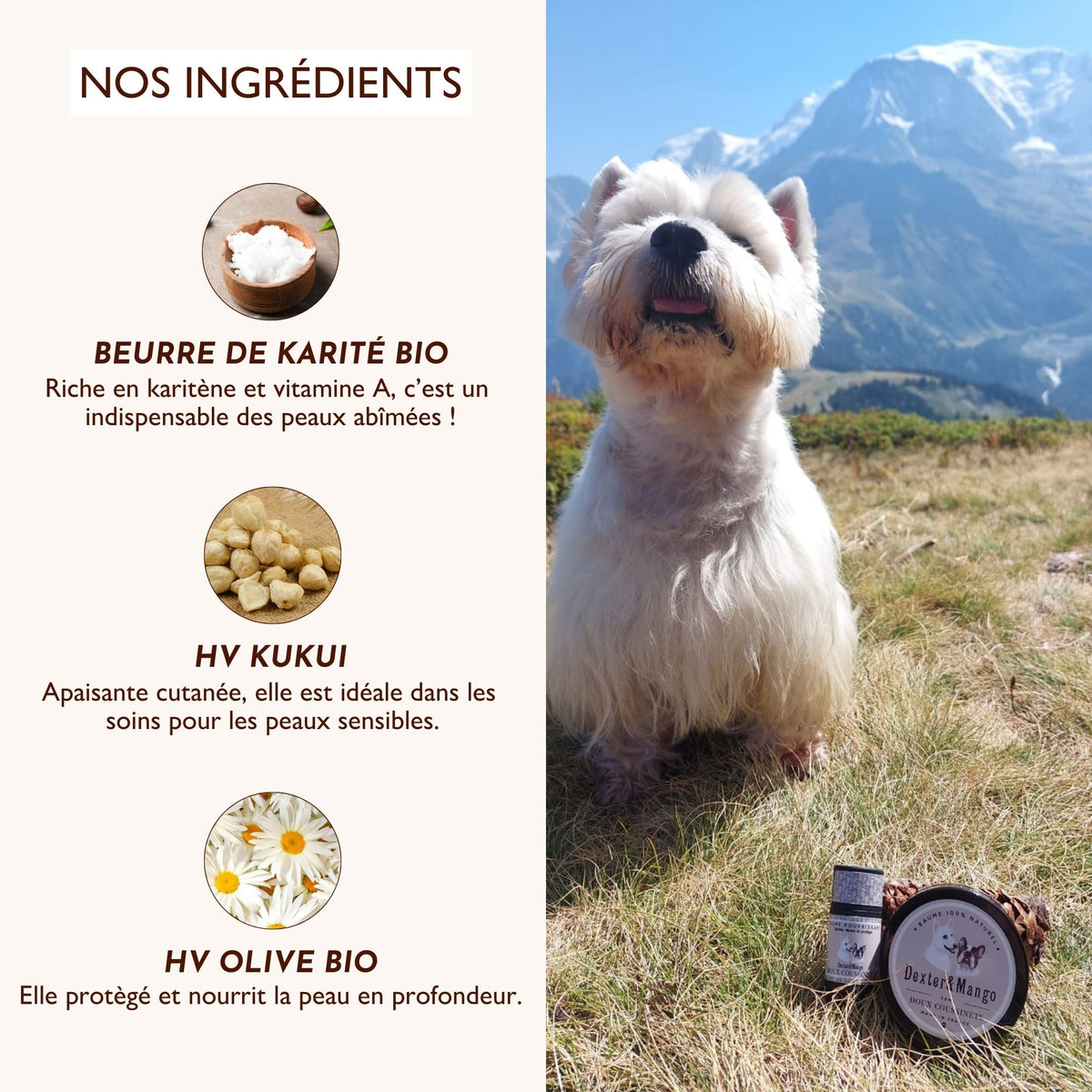 Ingrédients du stick Doux Coussinets : beurre de karité bio, huile de kukui et huile d’olive bio pour apaiser et protéger les coussinets