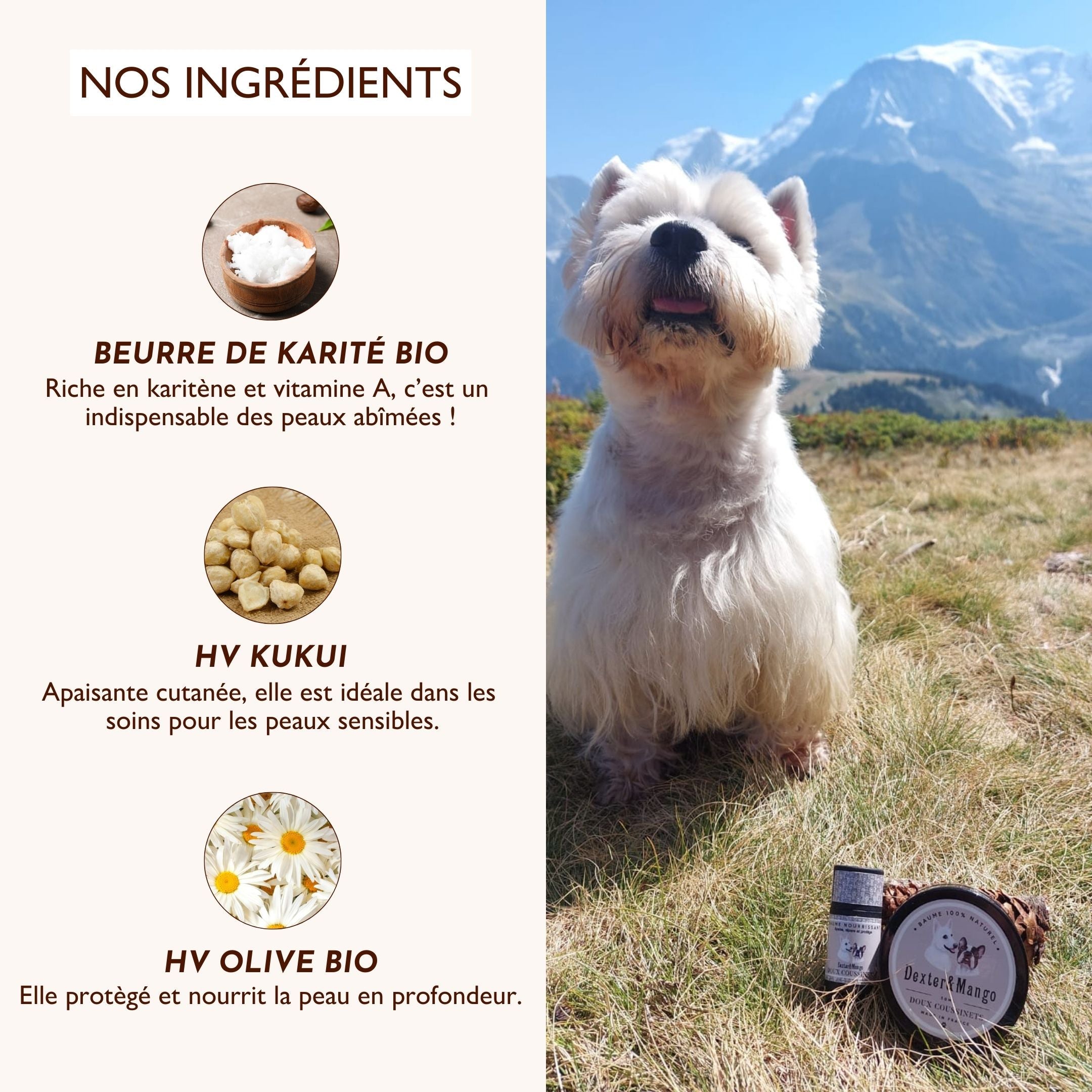 Ingrédients du stick Doux Coussinets : beurre de karité bio, huile de kukui et huile d’olive bio pour apaiser et protéger les coussinets