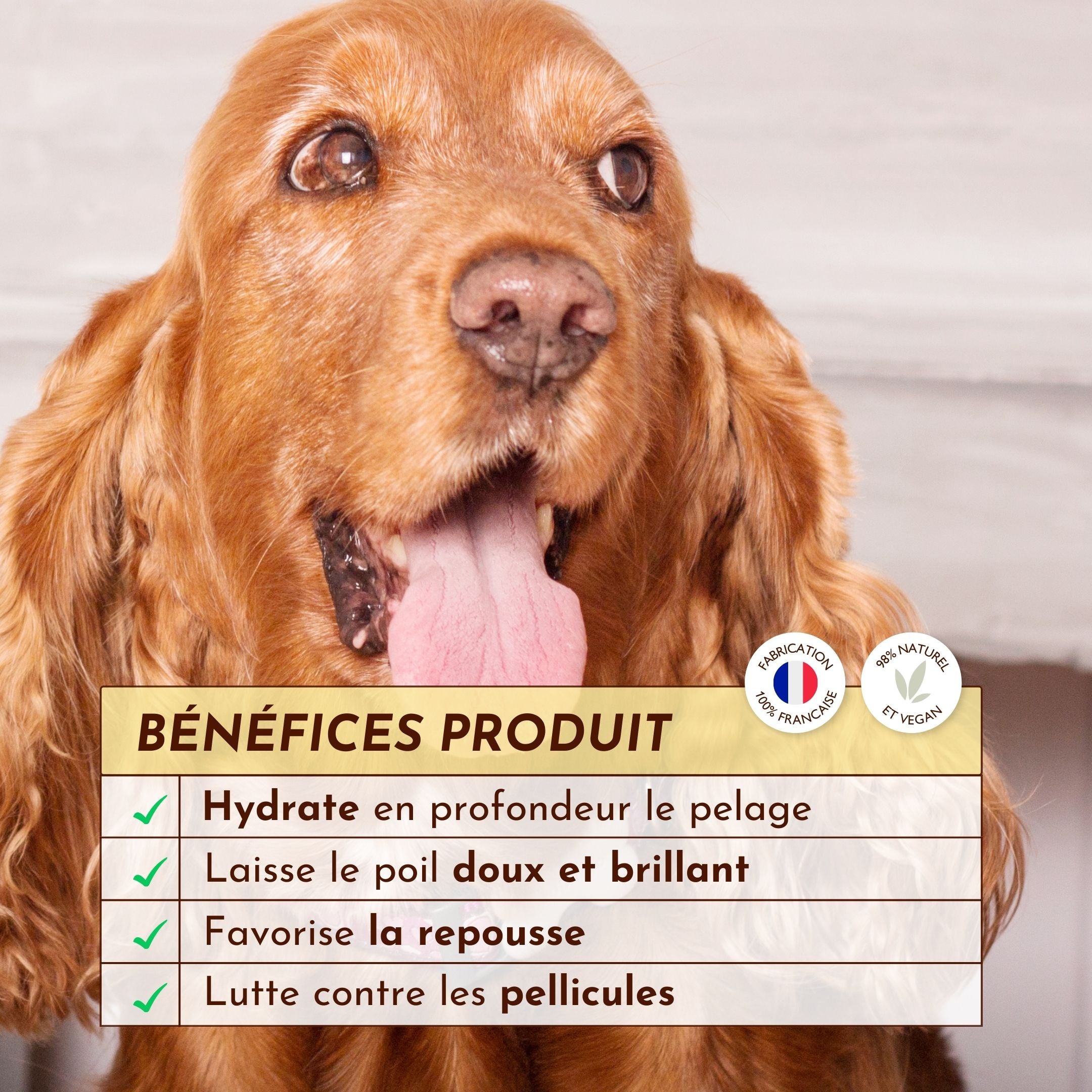 Lotion Cachemire – Hydrate, nourrit et lutte contre les pellicules pour un pelage doux et brillant.