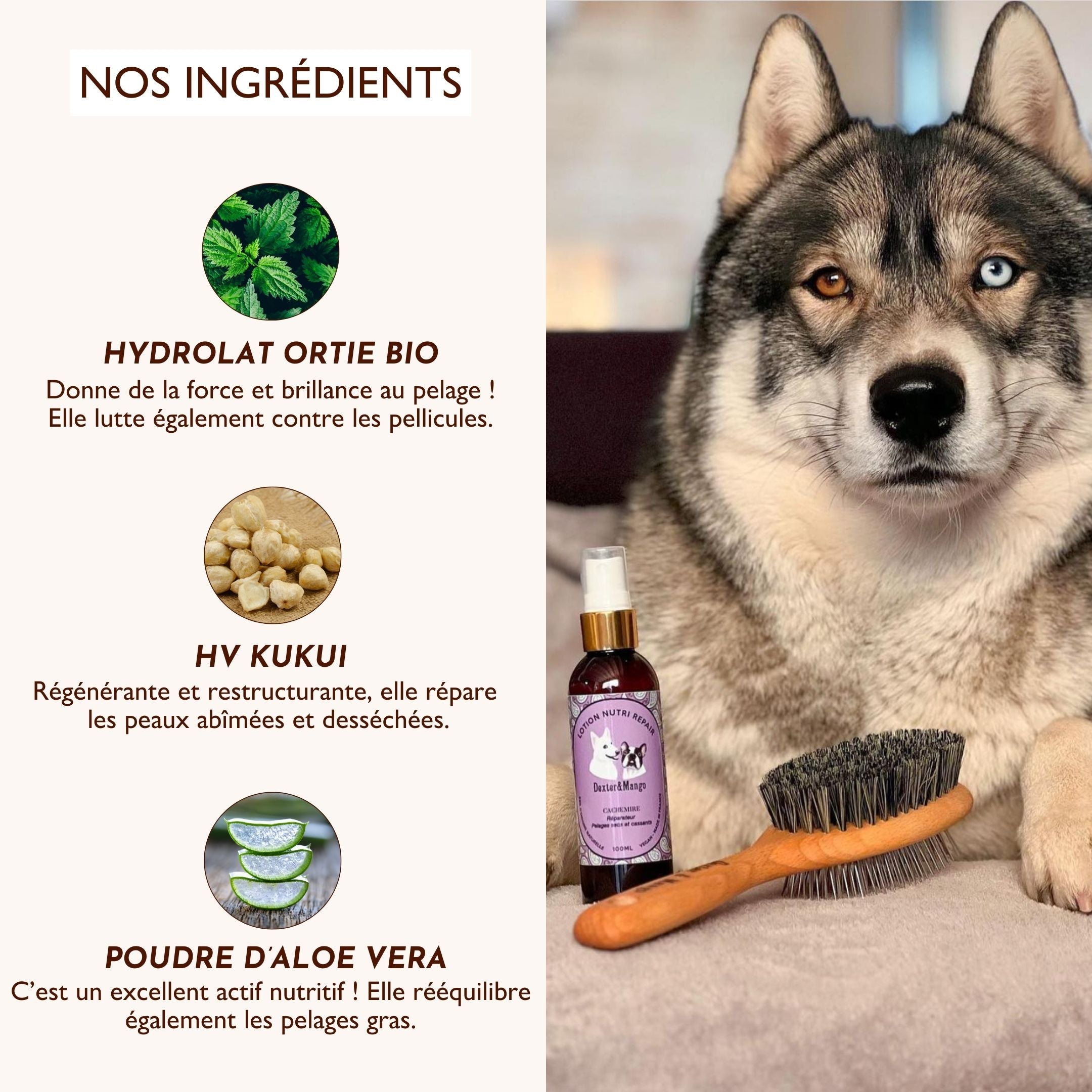 Lotion Nutri Repair Cachemire – Hydrolat d’ortie, huile de kukui et aloe vera pour un pelage en pleine santé.