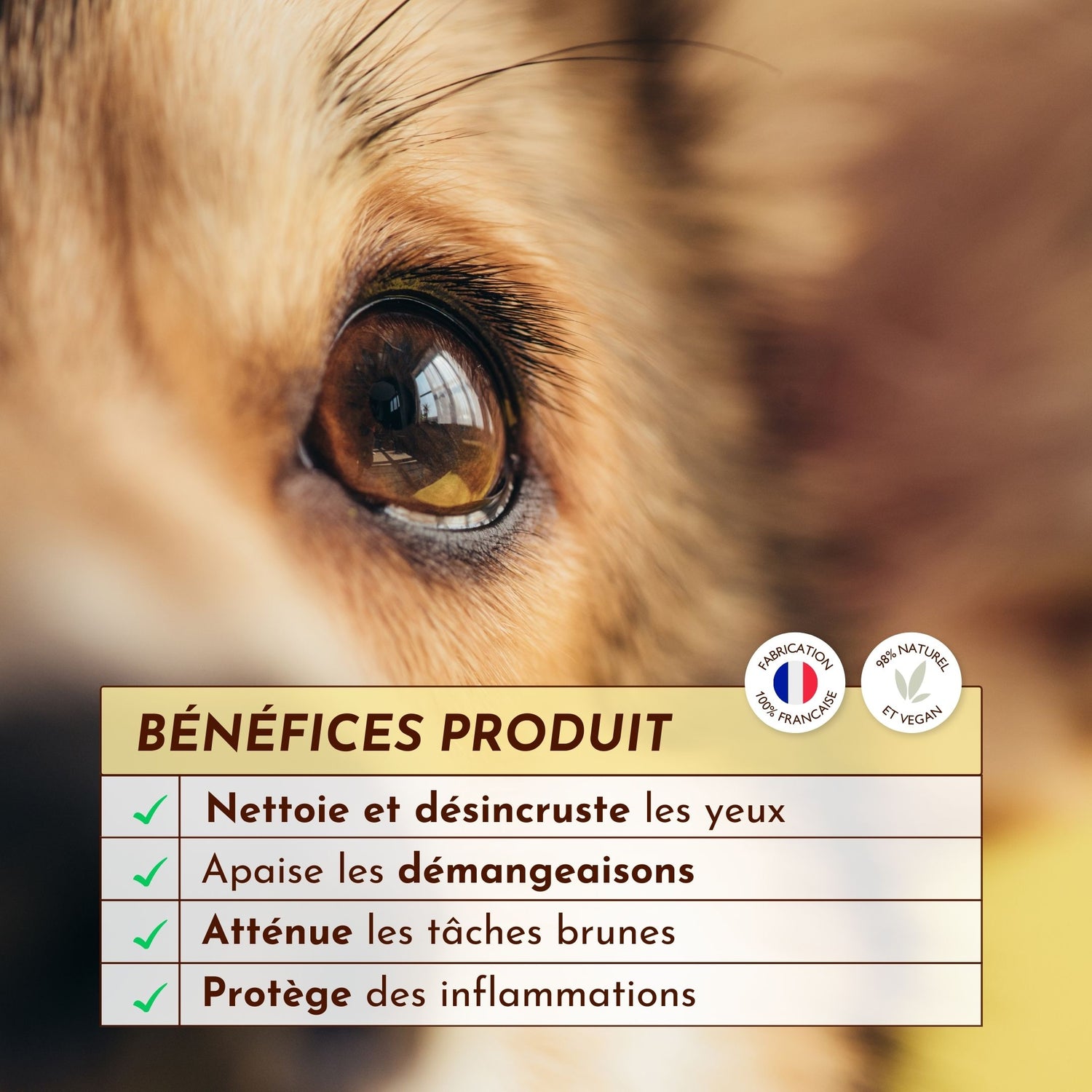 Nettoyage des yeux du chien avec la gelée Oeil de Biche, atténue les tâches brunes et protège des inflammations