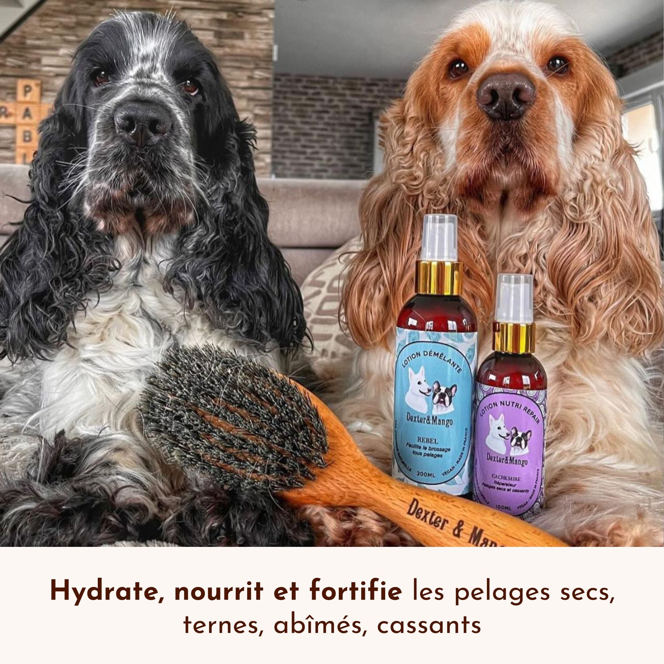 Pack soin pelage chien – Lotion démêlante Rebel et lotion Nutri Repair Cachemire avec brosse.