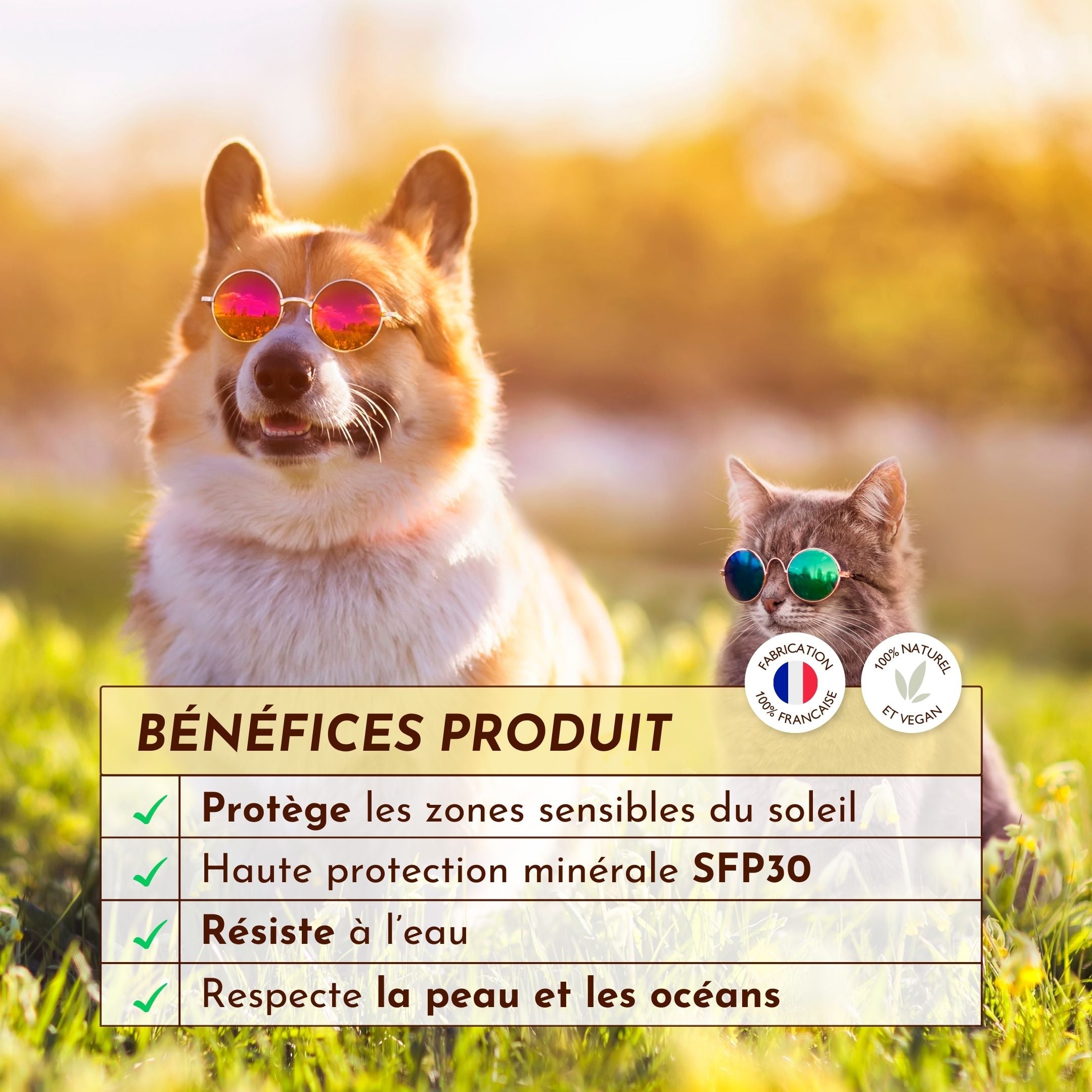 Chien et chat avec lunettes de soleil, présentant les bienfaits de la crème solaire naturelle SPF30