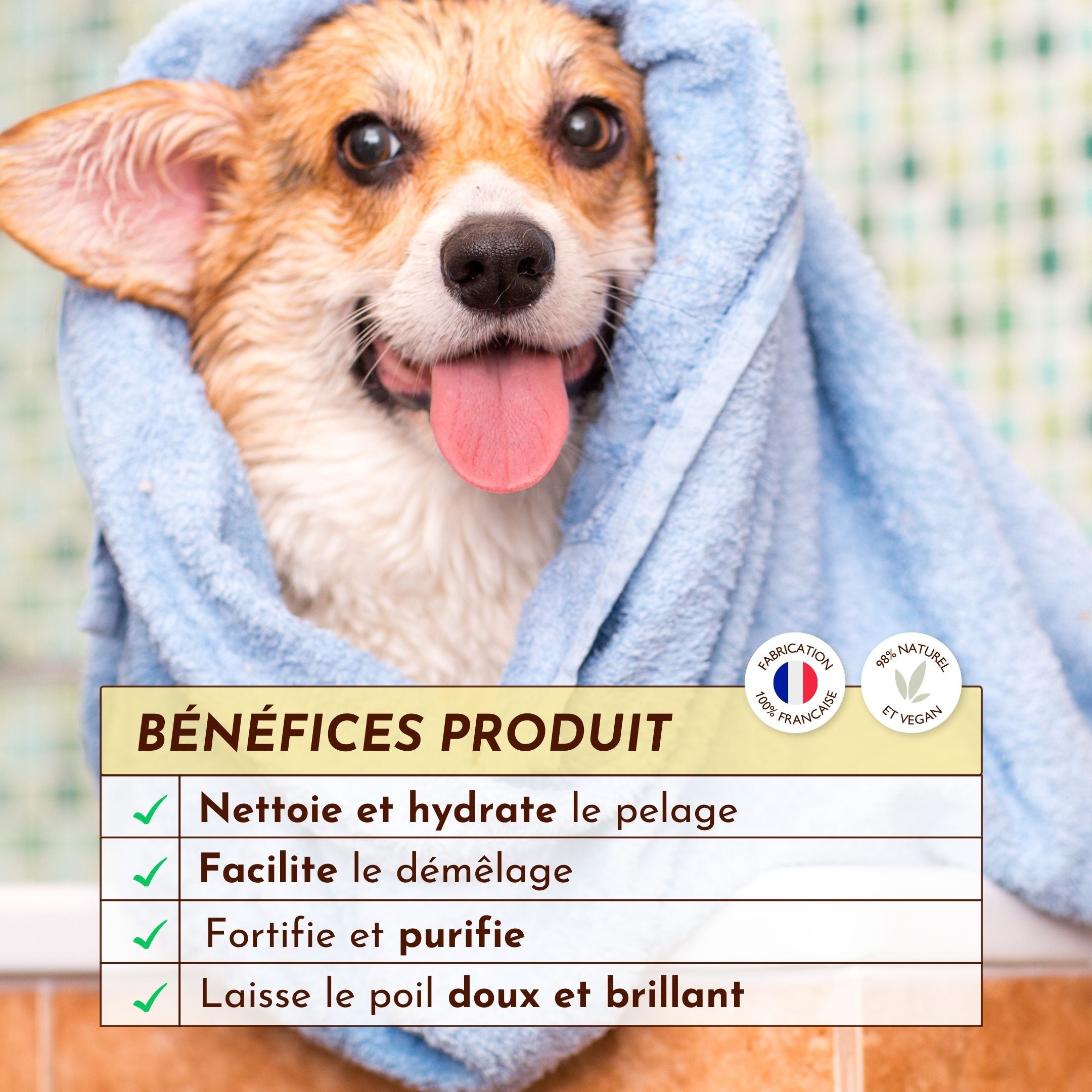 Chien mouillé avec une serviette bleue autour de la tête, devant les bienfaits du shampoing Poils de Velours comme hydratation, démêlage et brillance
