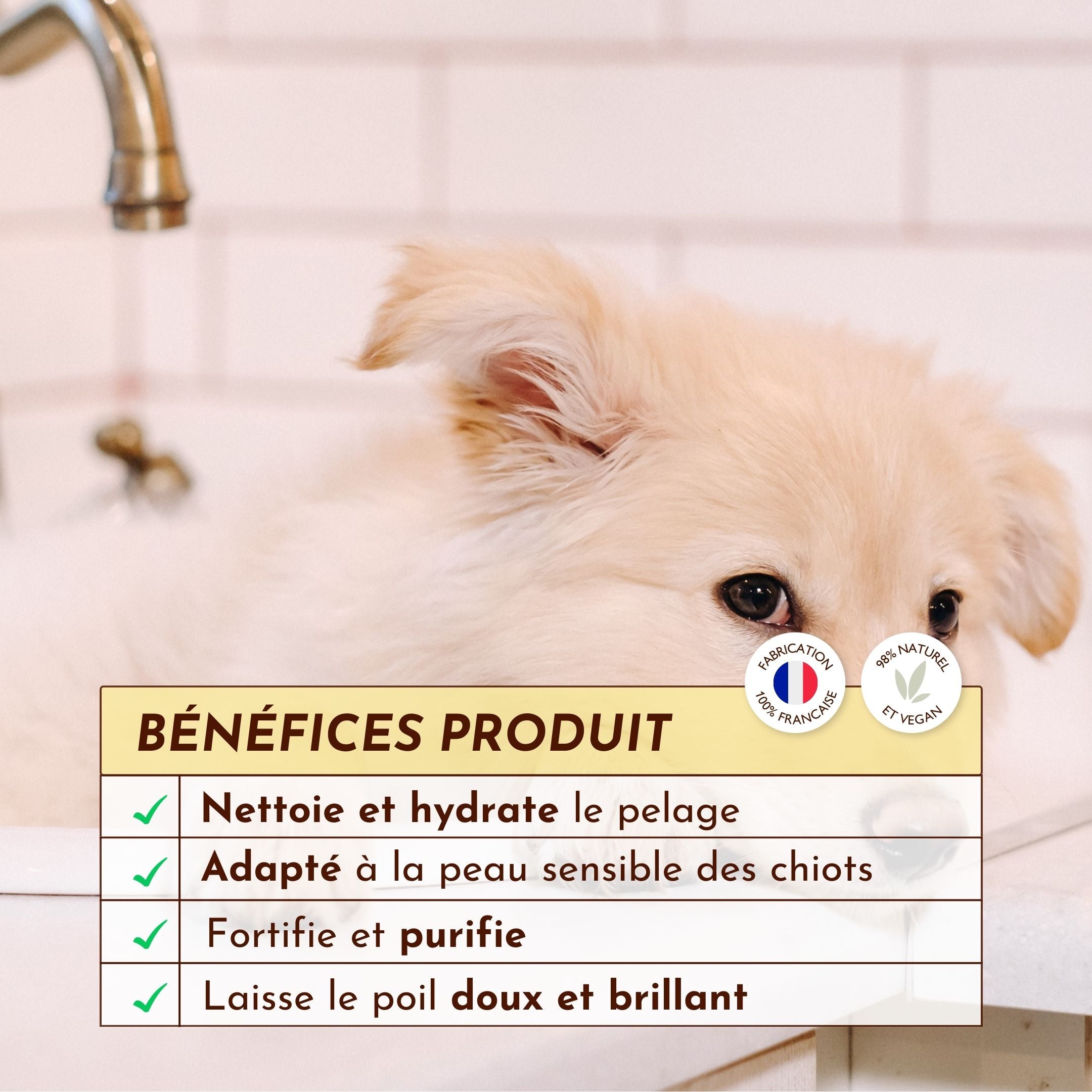 Chiot dans une baignoire avec tableau des bénéfices du shampoing P’tit Mousse