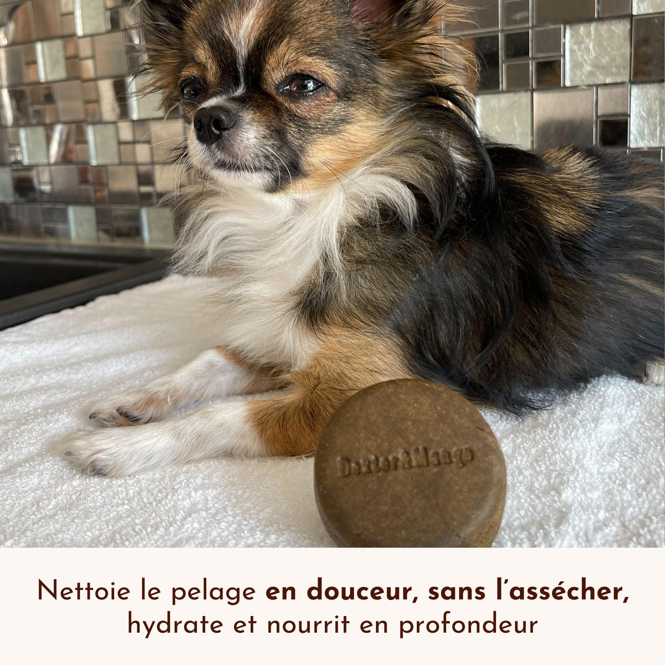 Petit chien allongé sur une serviette avec le shampoing solide P’tit Mousse