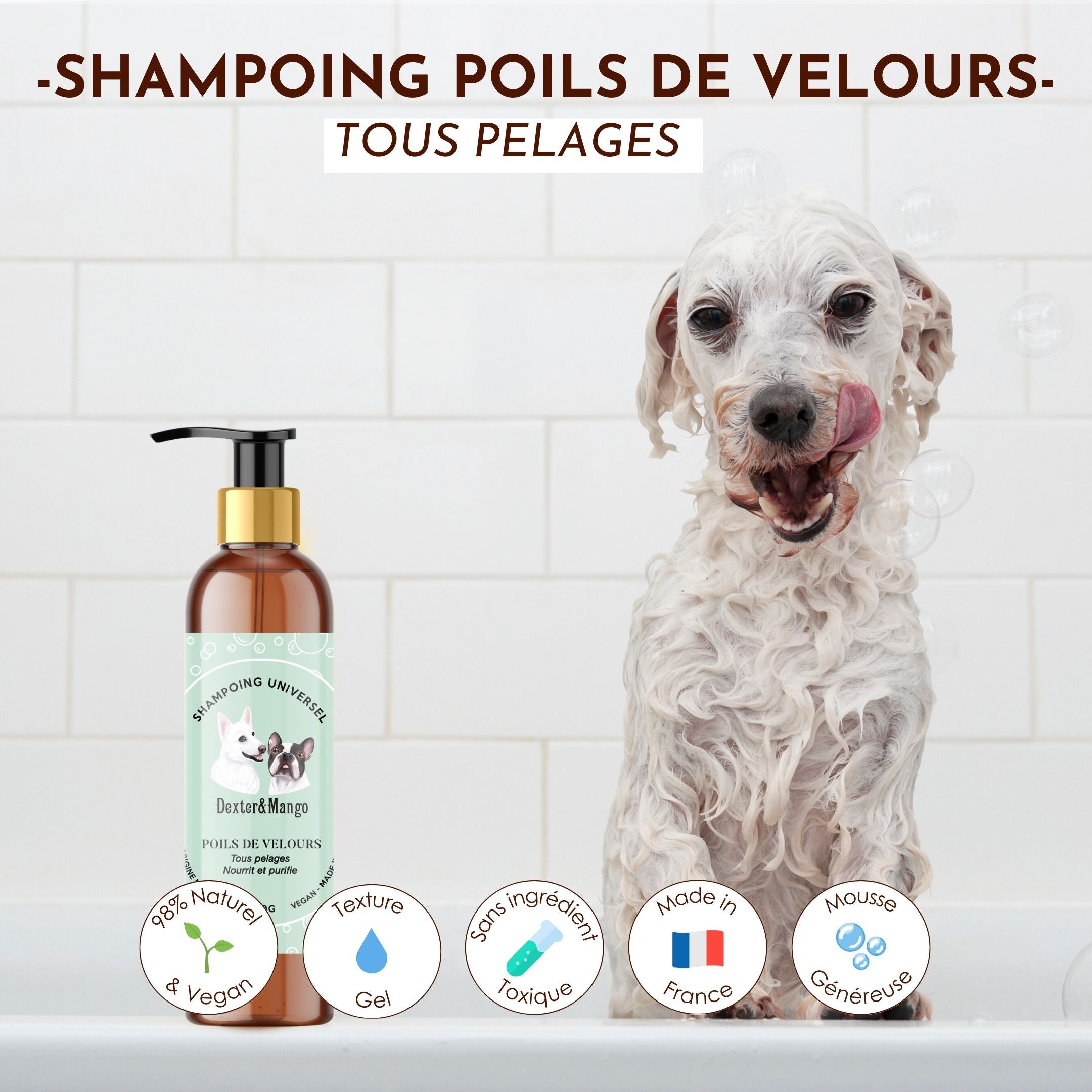 Chien mouillé après un bain avec le shampoing Poils de Velours de Dexter & Mango, un soin naturel pour un pelage éclatant.