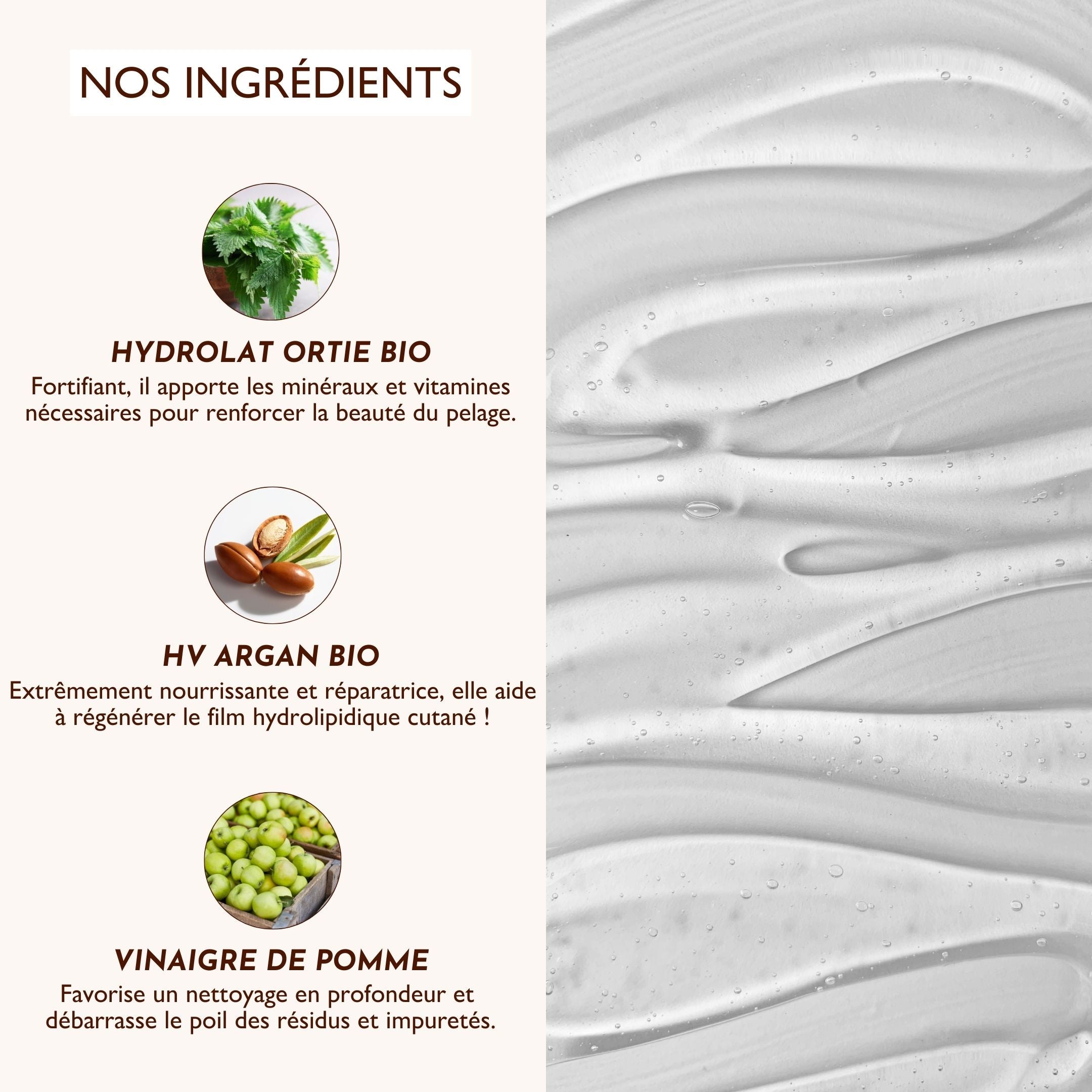 Ingrédients naturels du shampoing Poils de Velours : hydrolat d’ortie bio, huile d’argan bio et vinaigre de pomme pour un soin optimal du pelage.