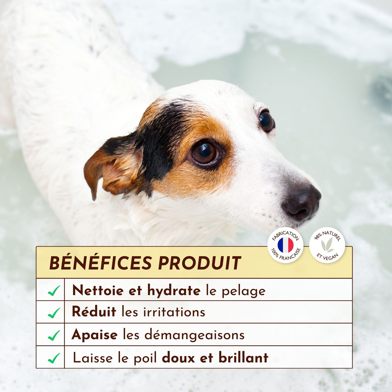 chien mouillé dans un bain avec encadré des bénéfices du shampoing Le Miraculeux
