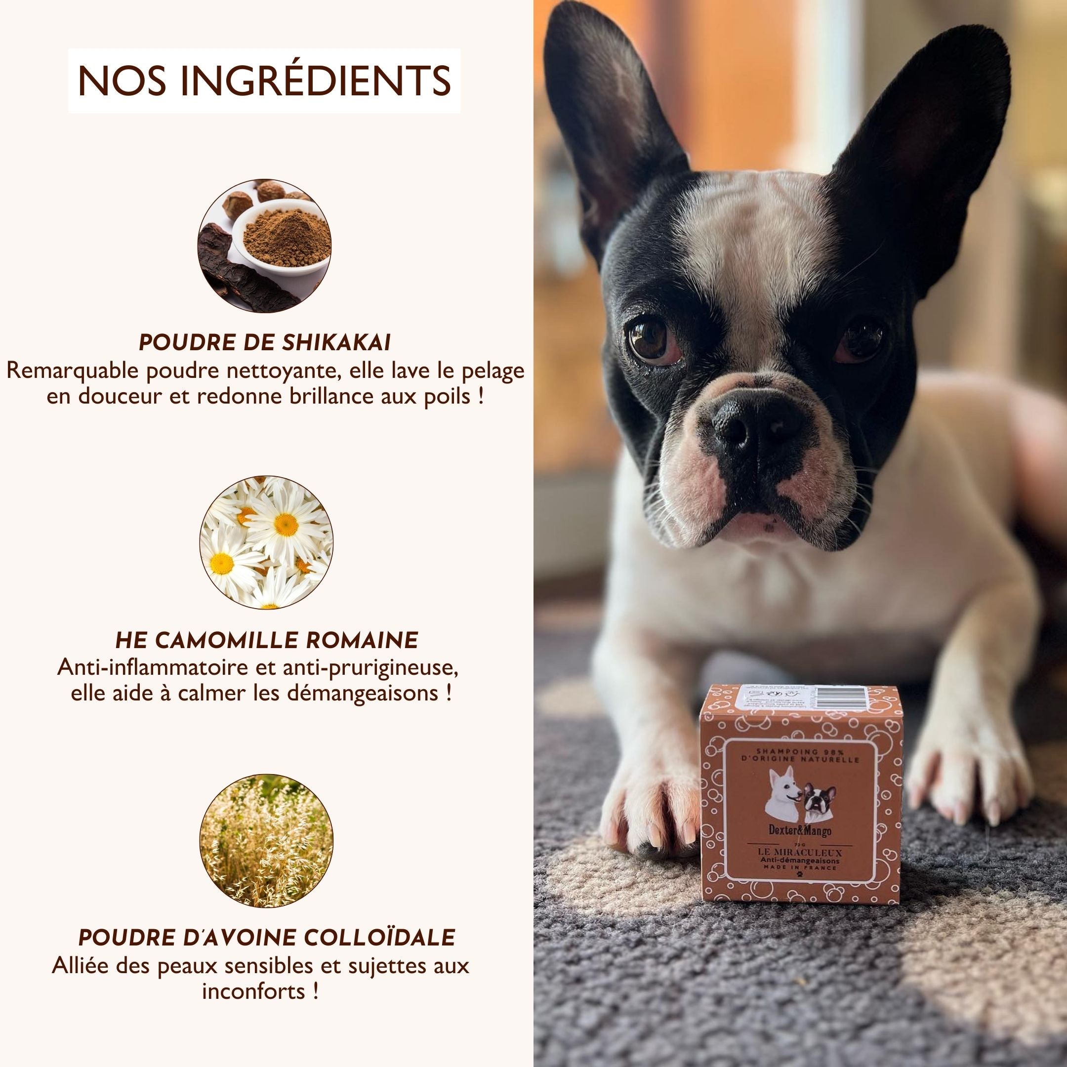 chien couché avec le shampoing Le Miraculeux et encadré des ingrédients naturels