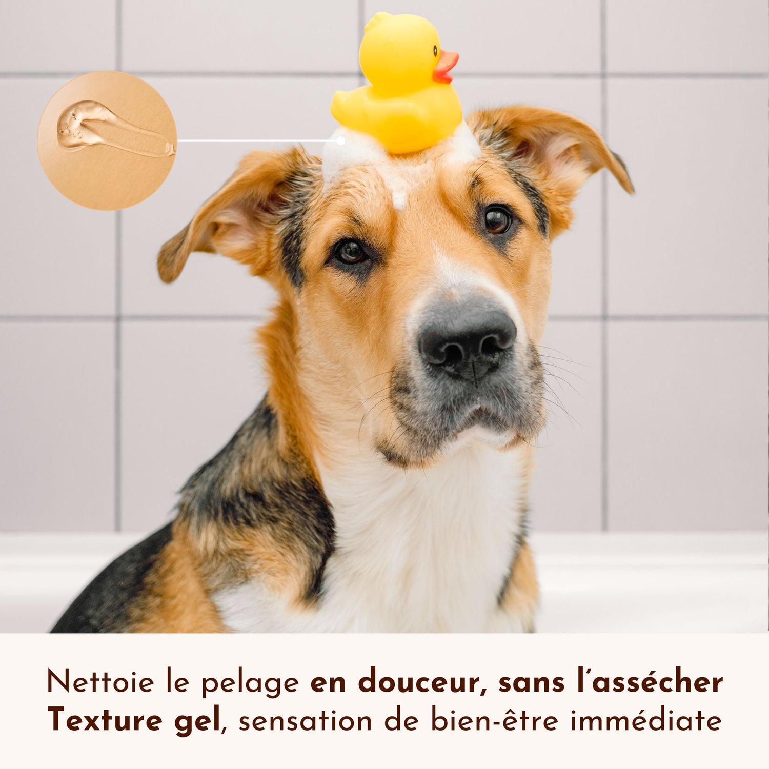 Chien sous la douche avec le shampoing “Le Miraculeux”, à la texture gel pour un nettoyage en douceur.