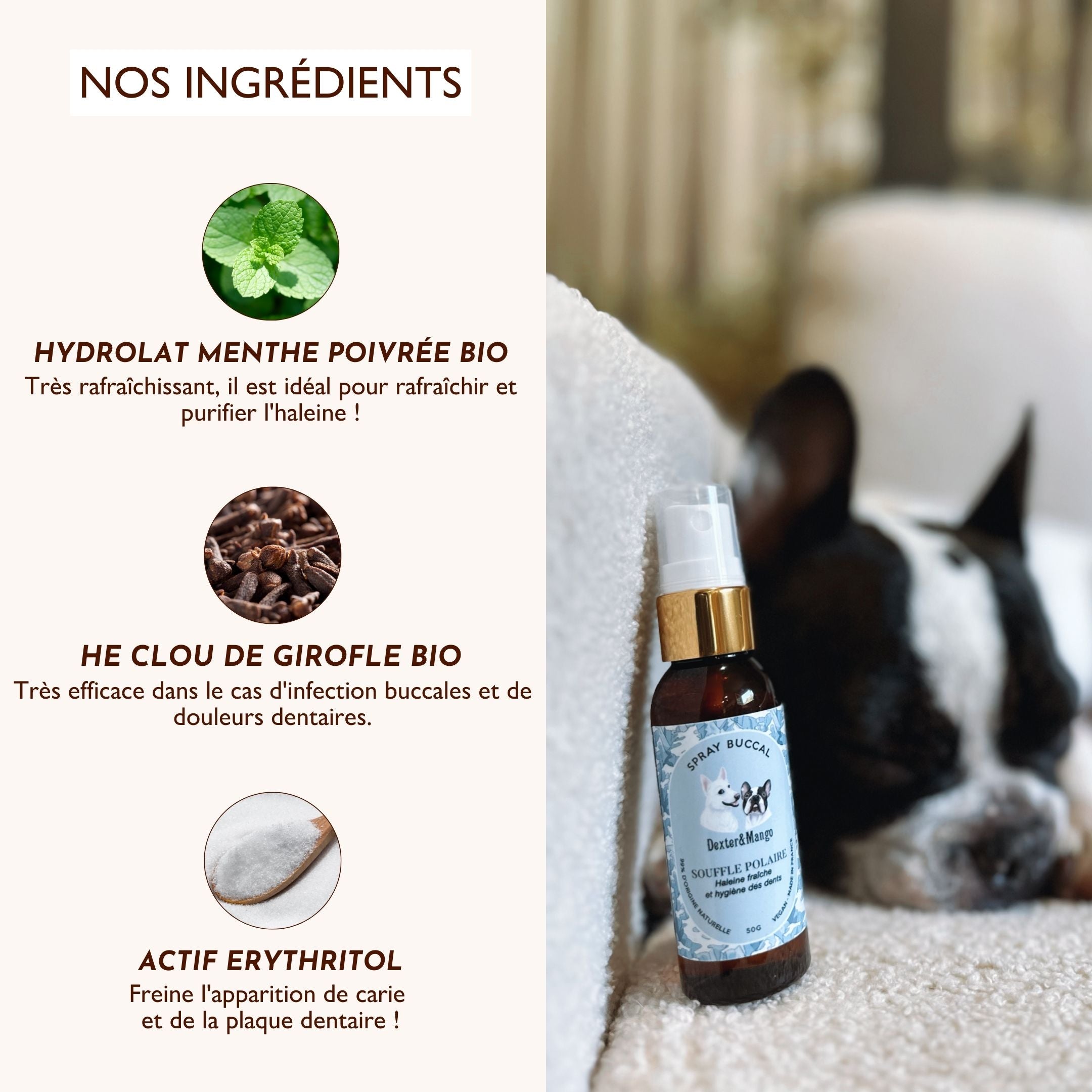 Liste des ingrédients naturels du spray buccal Souffle Polaire : menthe poivrée, clou de girofle et erythritol, pour une haleine fraîche et des dents saines.