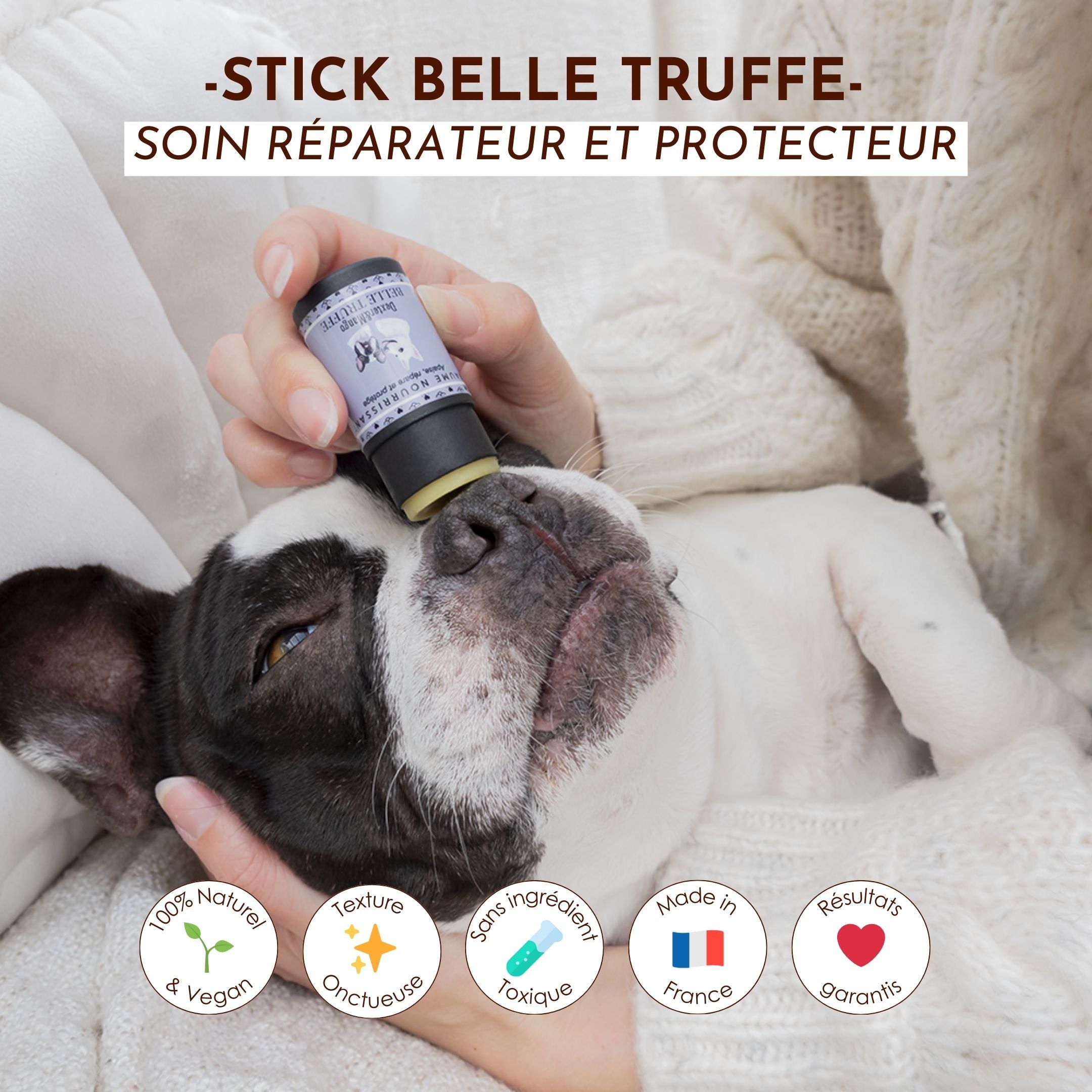 Application du stick Belle Truffe sur la truffe d’un bouledogue, un soin réparateur naturel.