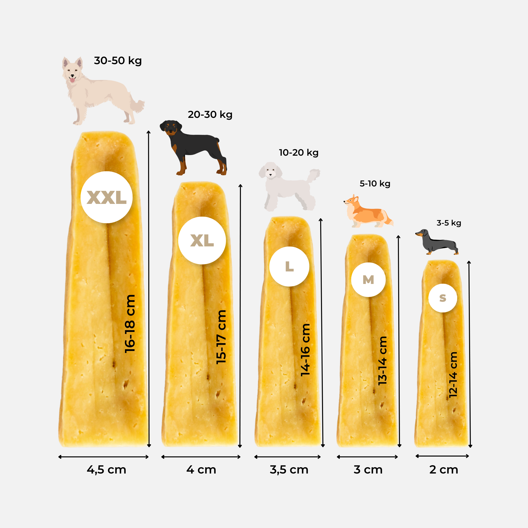 Guide des tailles de barre fromagère pour chien selon son poids