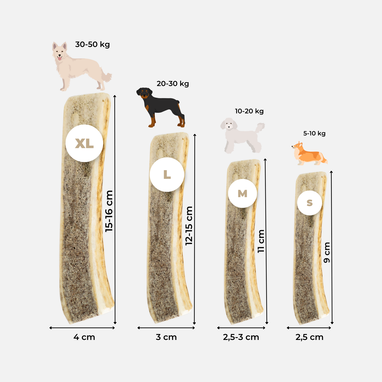 Tailles disponibles du bois de cerf tranché pour chiens Dexter & Mango
