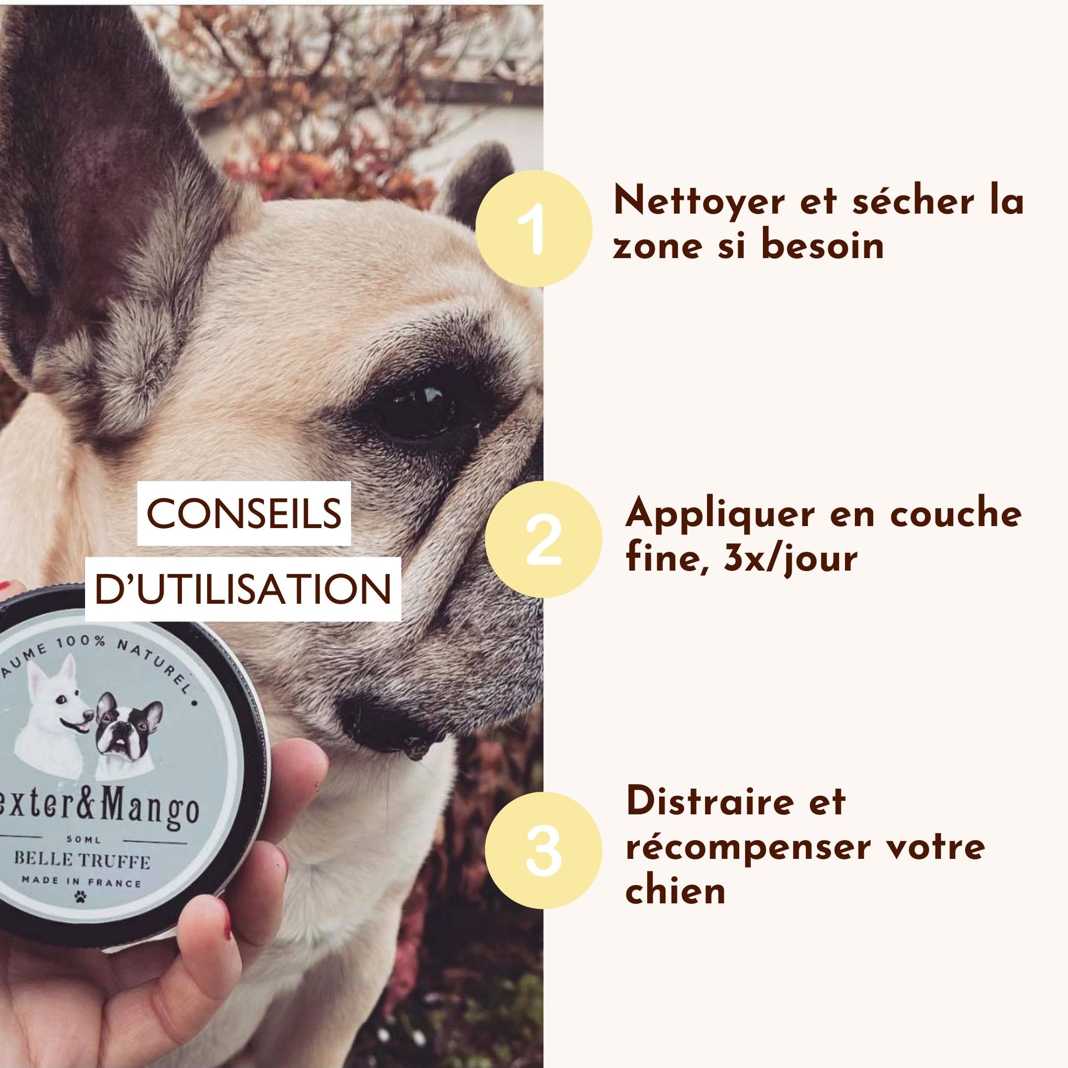 Conseils d’utilisation du baume pour truffe de chien Dexter & Mango tenus par une main avec chien en arrière-plan