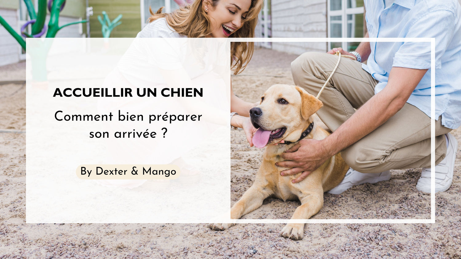 Accueillir un chiot/chien : Quels sont les bons réflexes ?