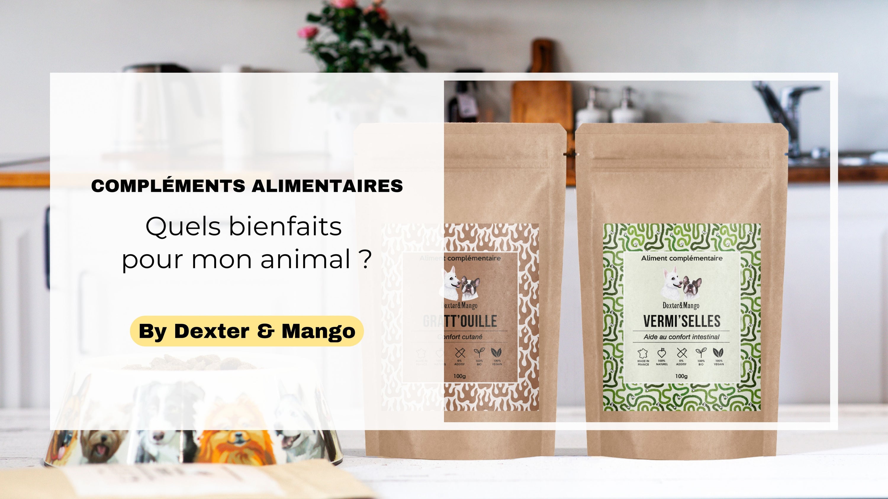 Quel complément alimentaire choisir pour mon chien ?