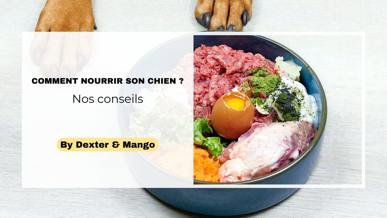 Quelle alimentation choisir pour son chien ?