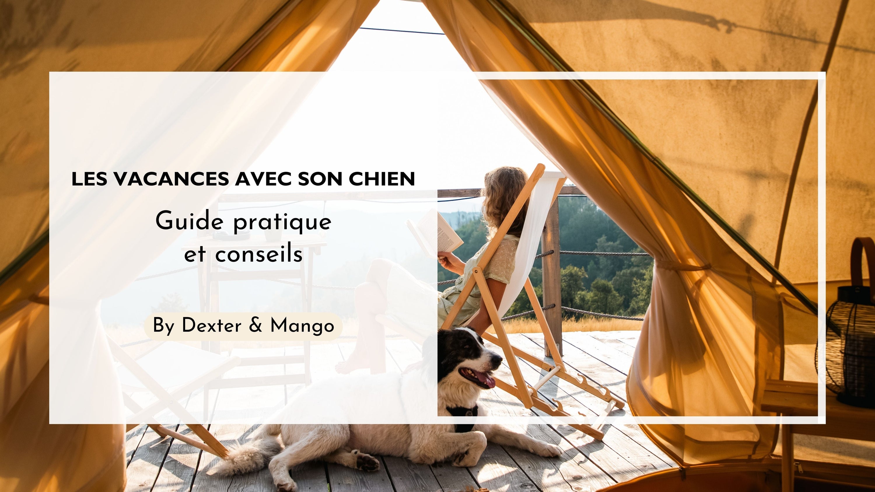Comment bien préparer ses vacances avec son chien ?