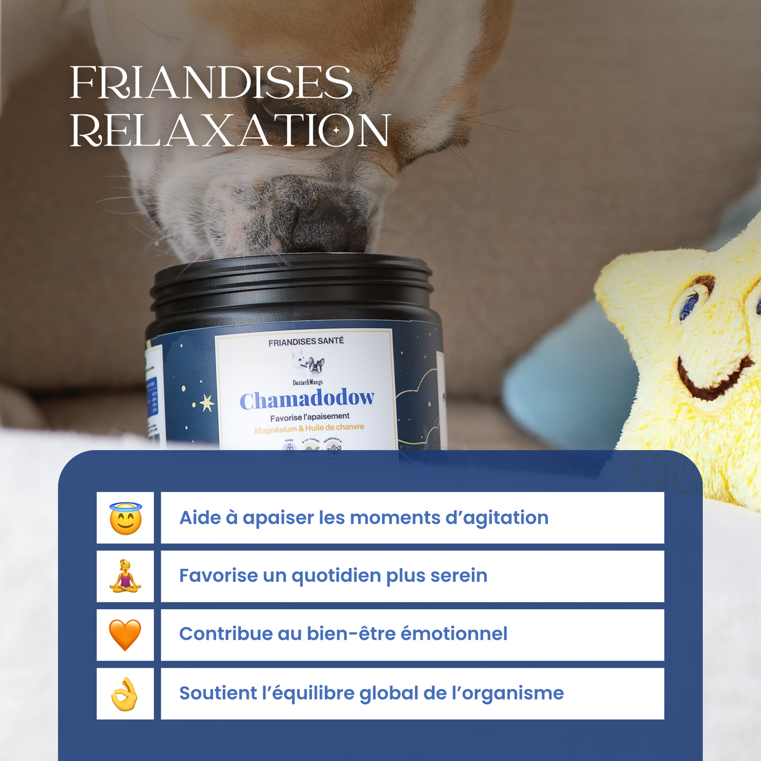 Anti-stress chien : Friandises santé Chamadodow