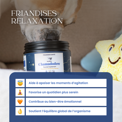 Anti-stress chien : Friandises santé Chamadodow