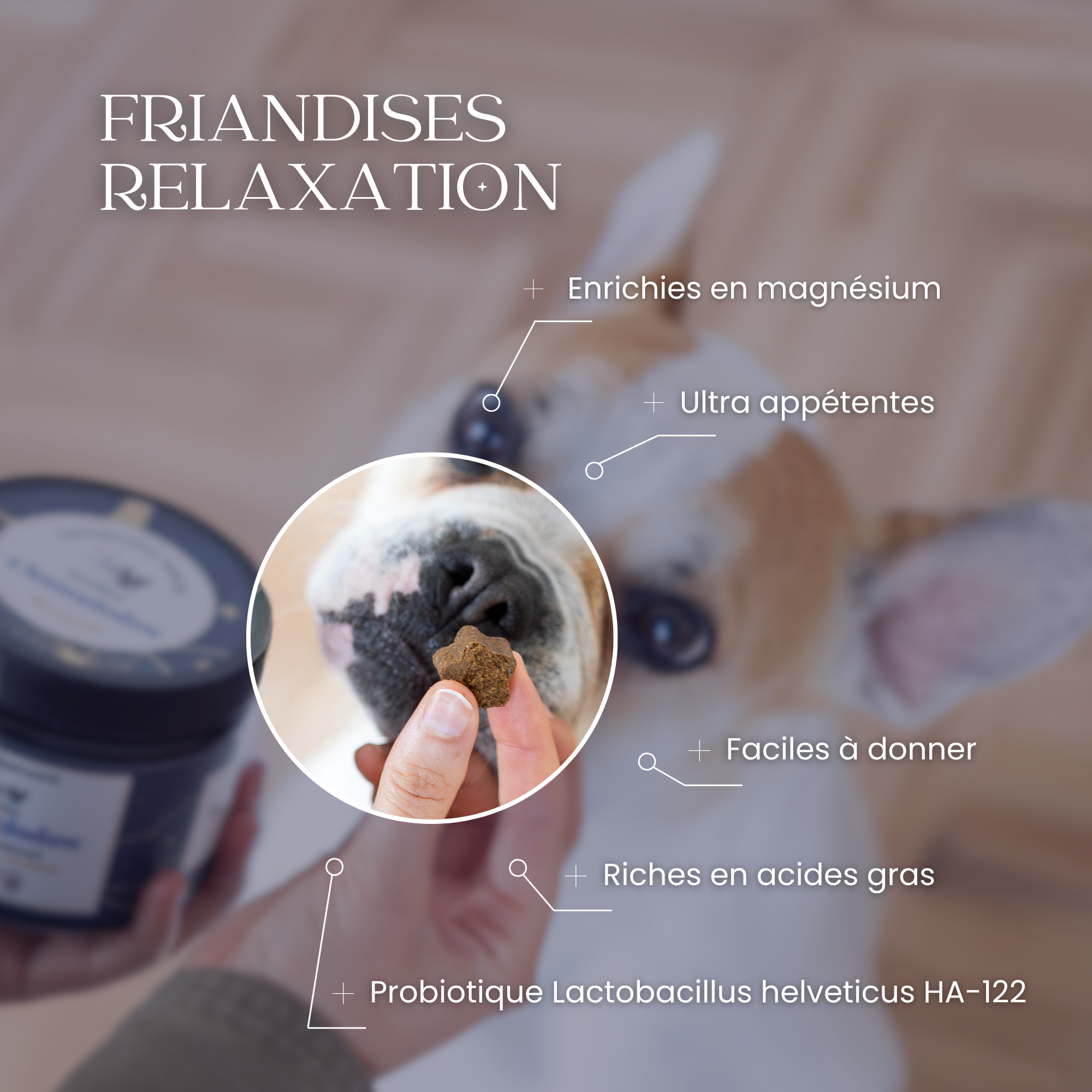 Anti-stress chien : Friandises santé Chamadodow