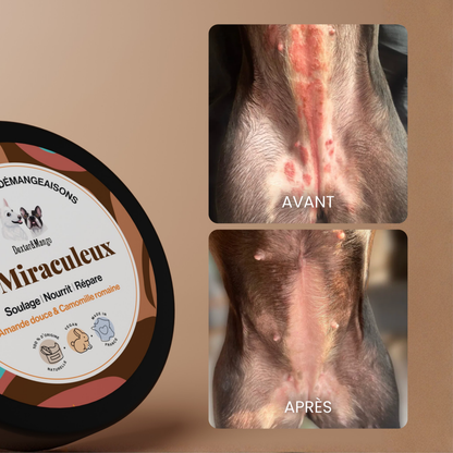 Baume apaisant pour chien : Le Miraculeux