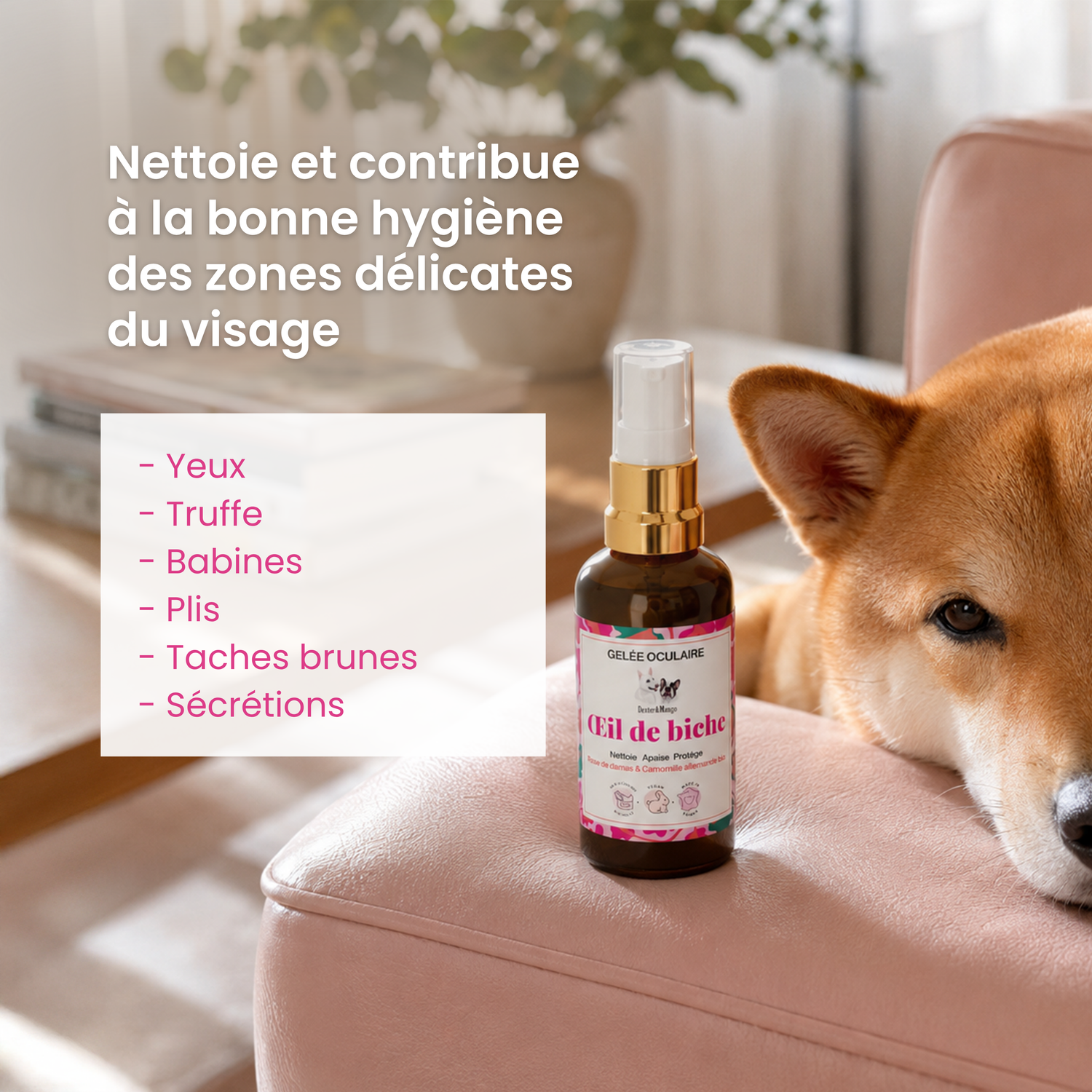 Nettoyant yeux chien : Œil de biche