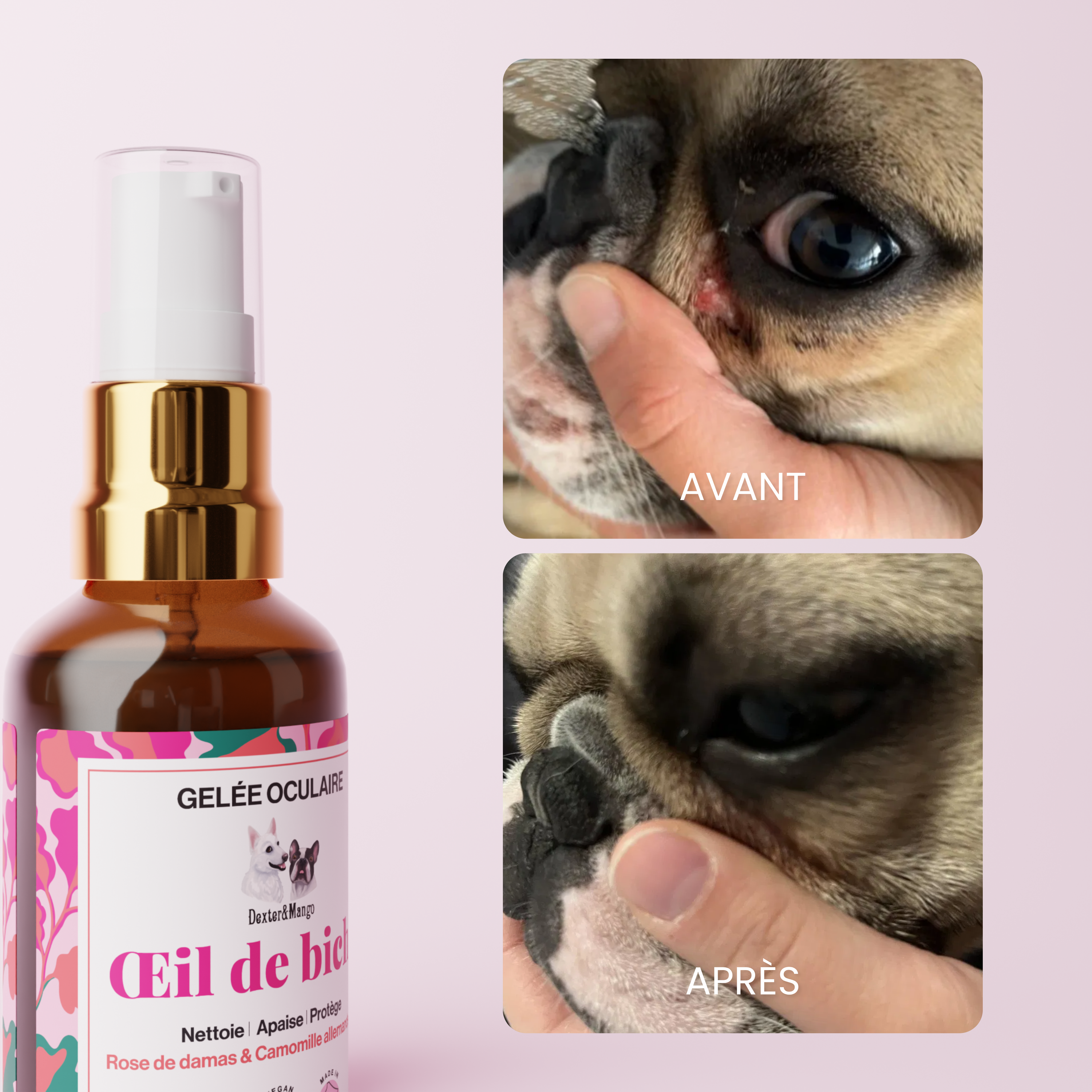 Nettoyant yeux chien : Œil de biche