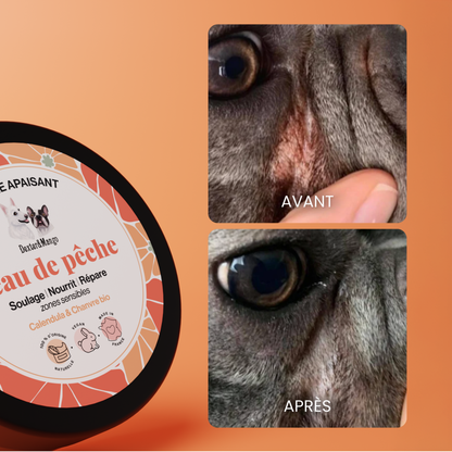 Baume Peau de Pêche : Soin des zones sensibles du chien