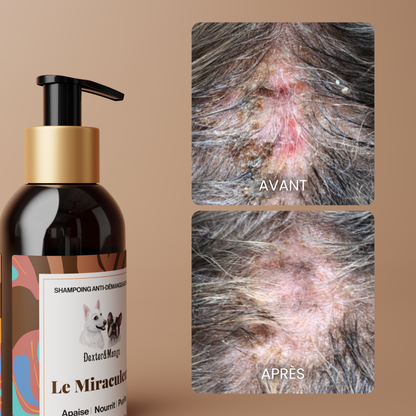 Shampoing Le Miraculeux : confort des peaux sensibles