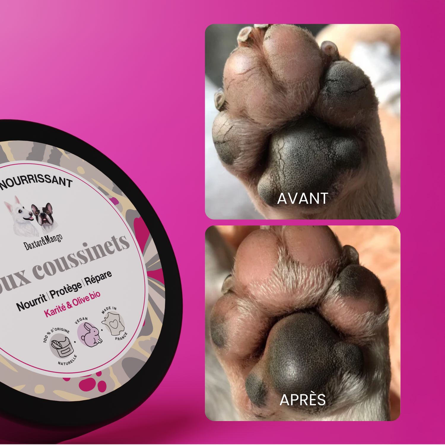 Baume coussinet chien : Doux coussinets