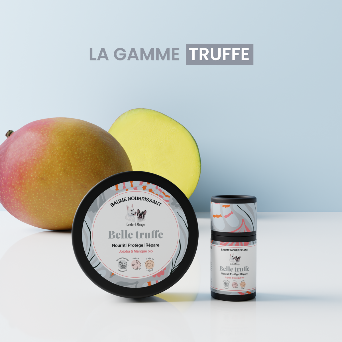Truffe de chien abimée : Stick Belle truffe à la rescousse