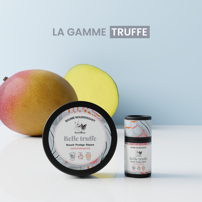 Truffe de chien abimée : Stick Belle truffe à la rescousse