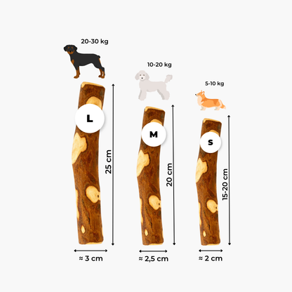 Bâton d’olivier : La mastication longue durée pour chien