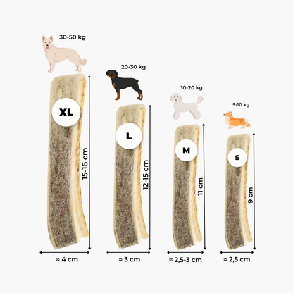 Bois de cerf tranché : La mastication longue durée pour chien