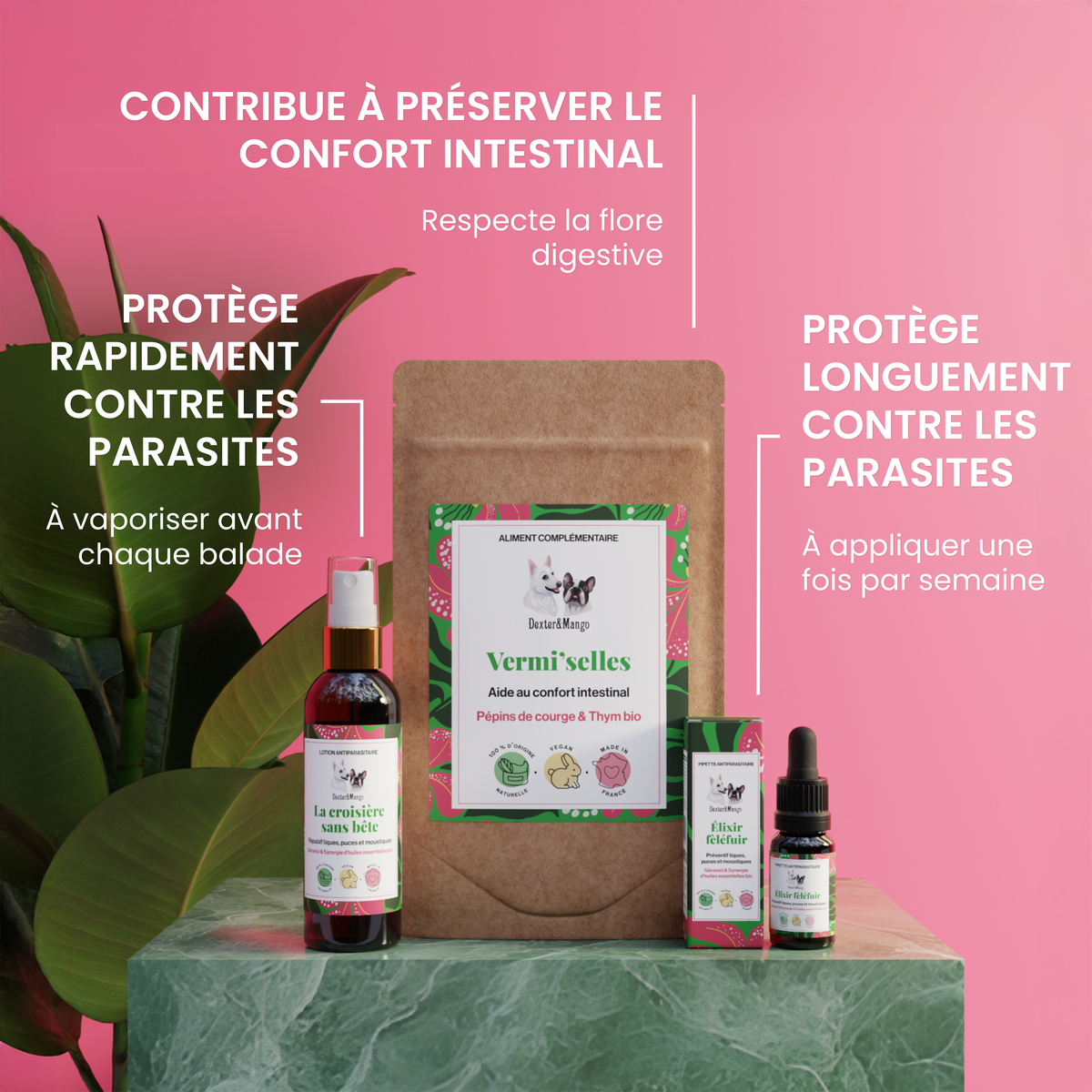 Routine antiparasitaire